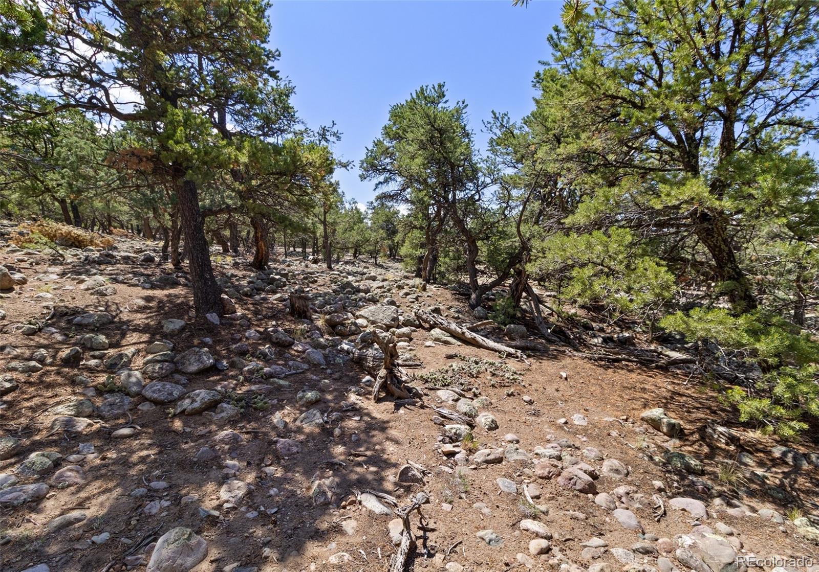 MLS Image #13 for 2772 n carefree way,crestone, Colorado