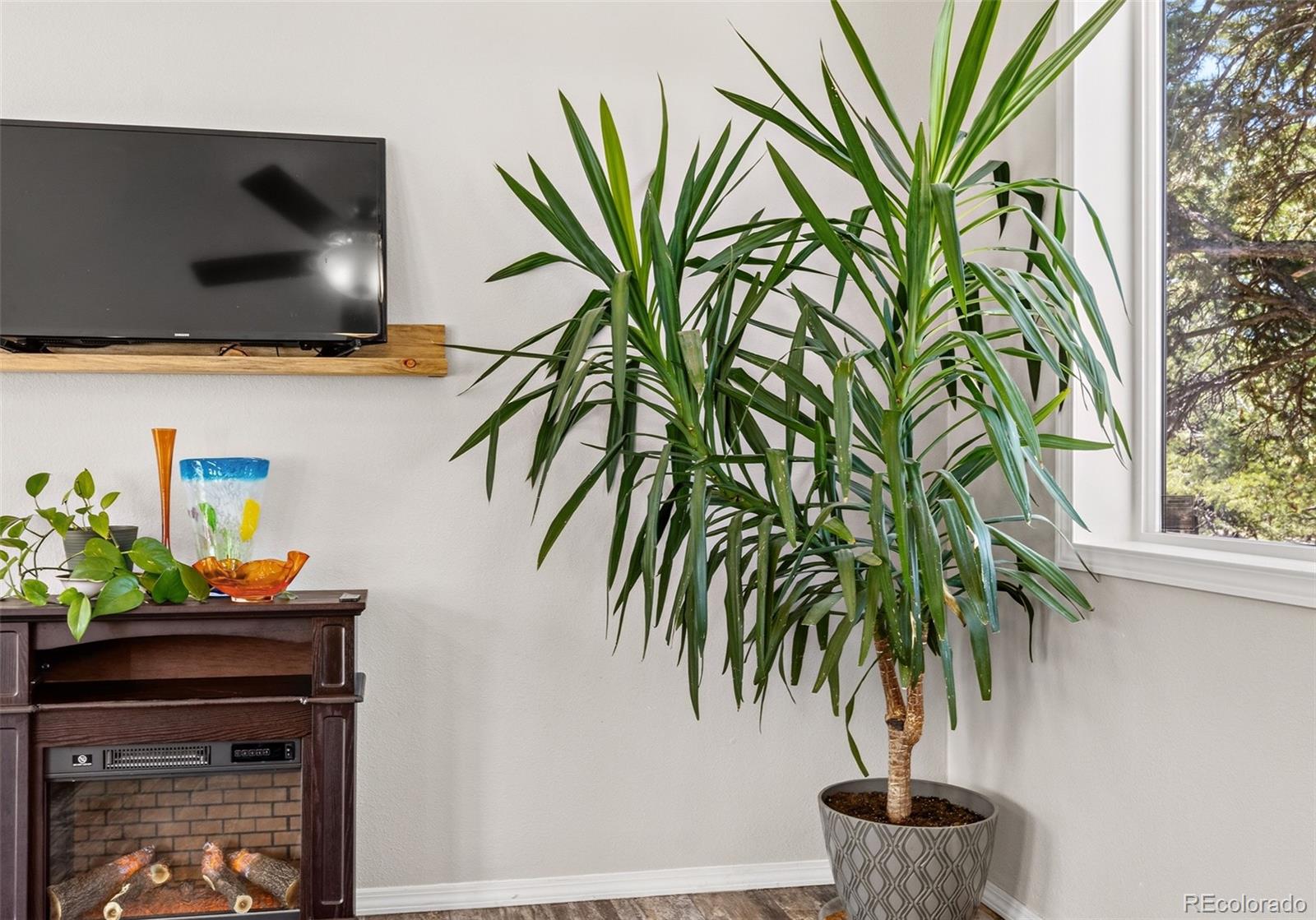 MLS Image #16 for 2772 n carefree way,crestone, Colorado