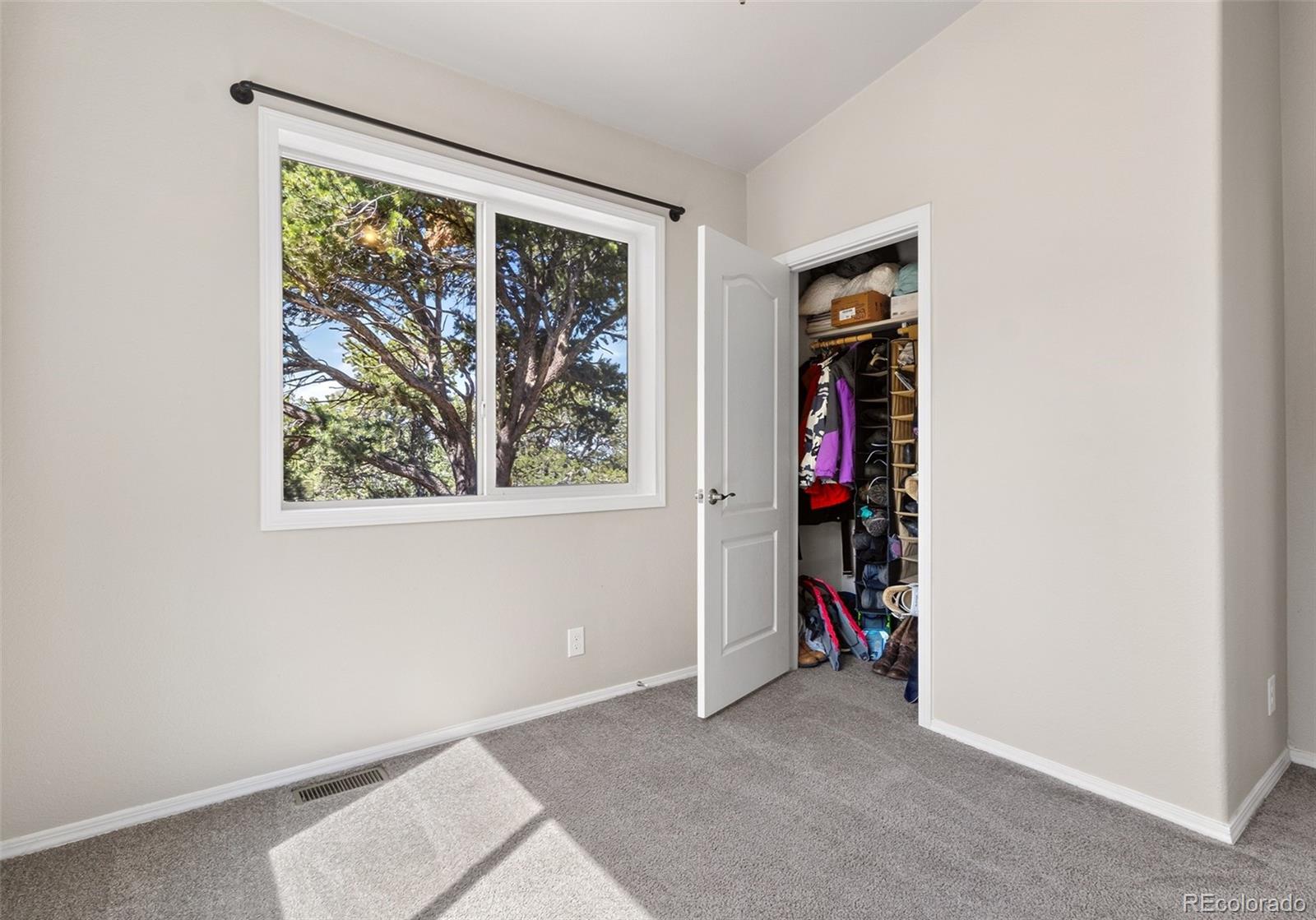 MLS Image #31 for 2772 n carefree way,crestone, Colorado
