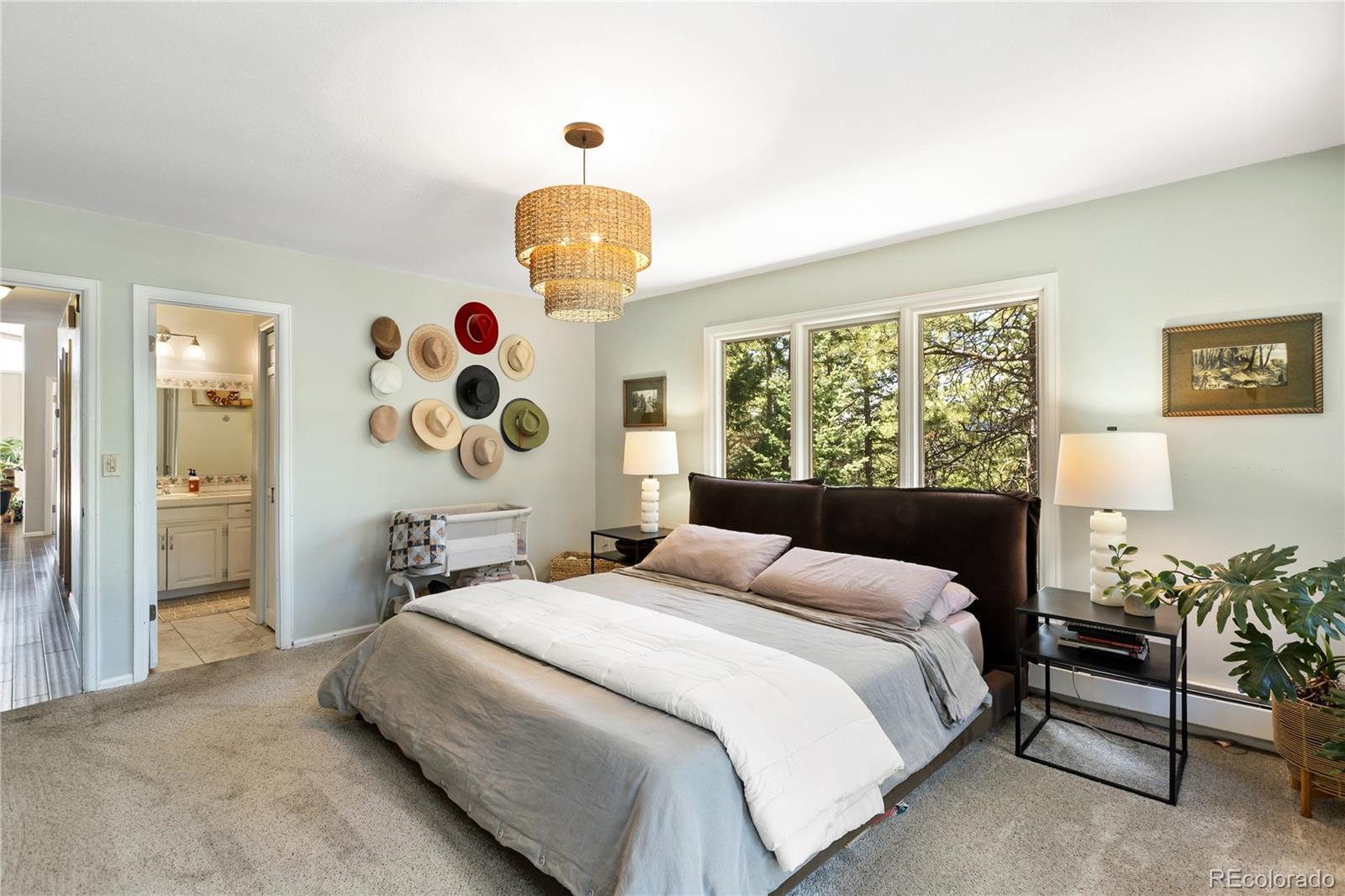 MLS Image #16 for 1150  forest hill place,woodland park, Colorado