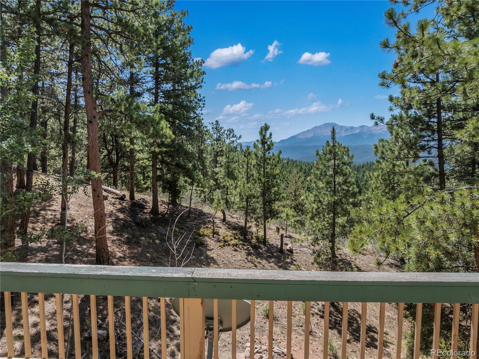 MLS Image #19 for 1150  forest hill place,woodland park, Colorado