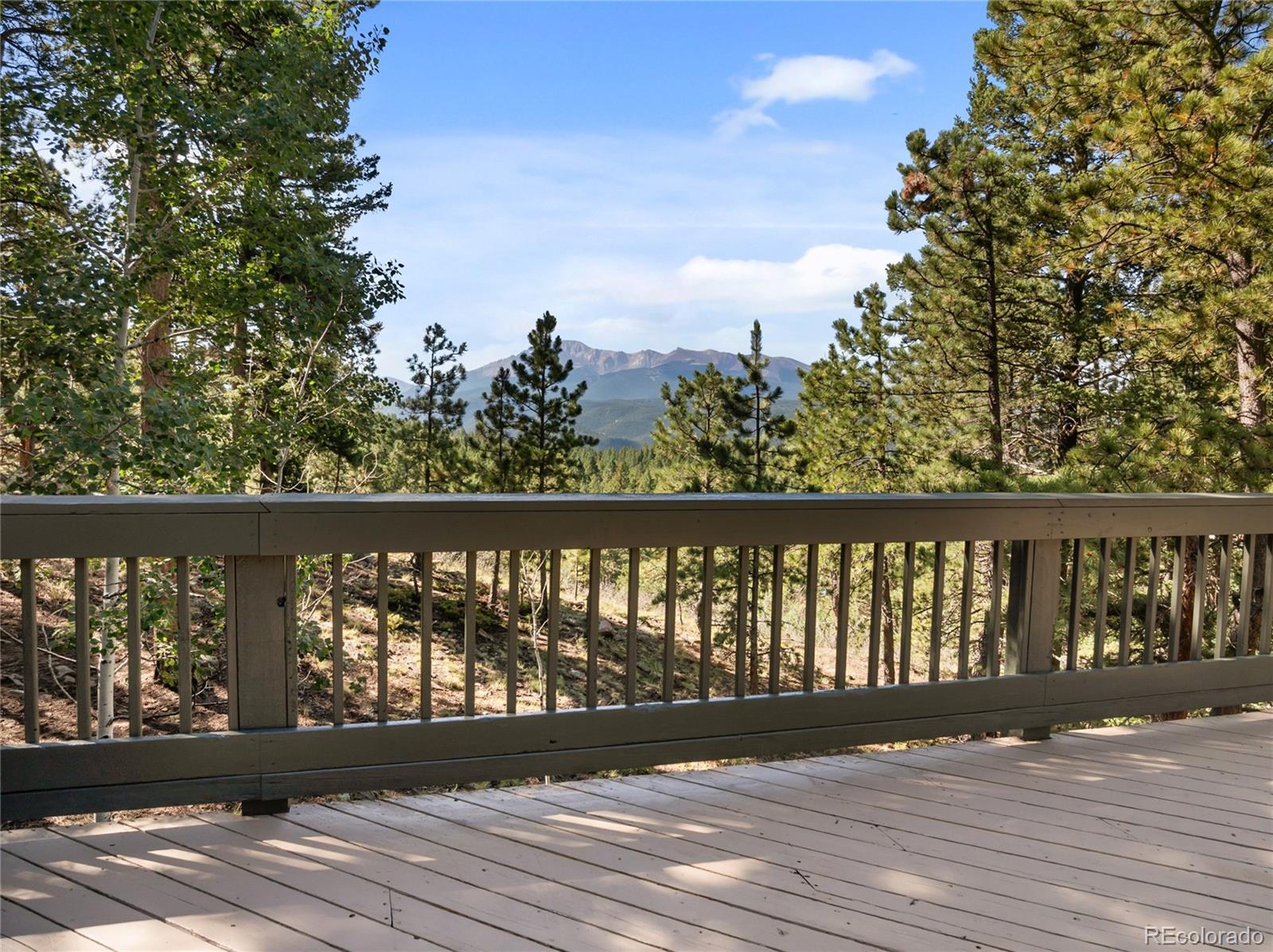 MLS Image #3 for 1150  forest hill place,woodland park, Colorado