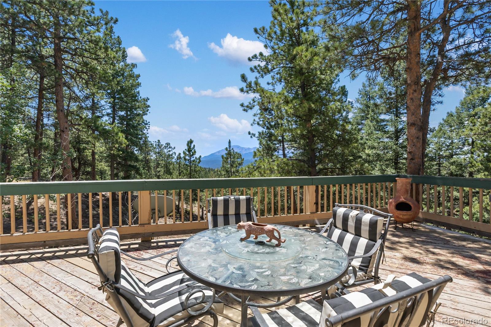 MLS Image #31 for 1150  forest hill place,woodland park, Colorado