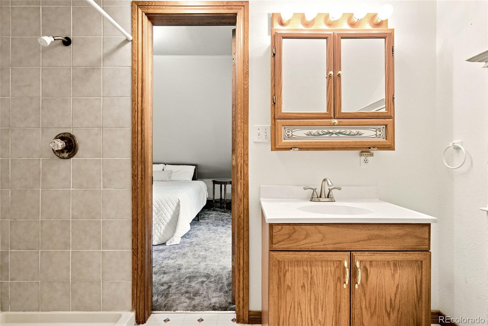 MLS Image #10 for 271  willow lane,alma, Colorado