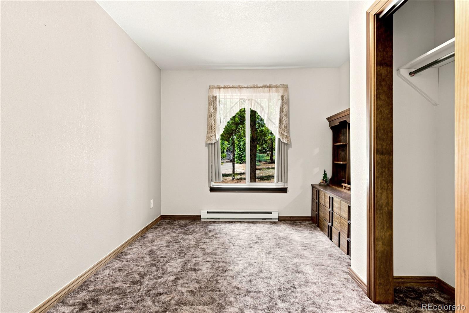 MLS Image #11 for 271  willow lane,alma, Colorado
