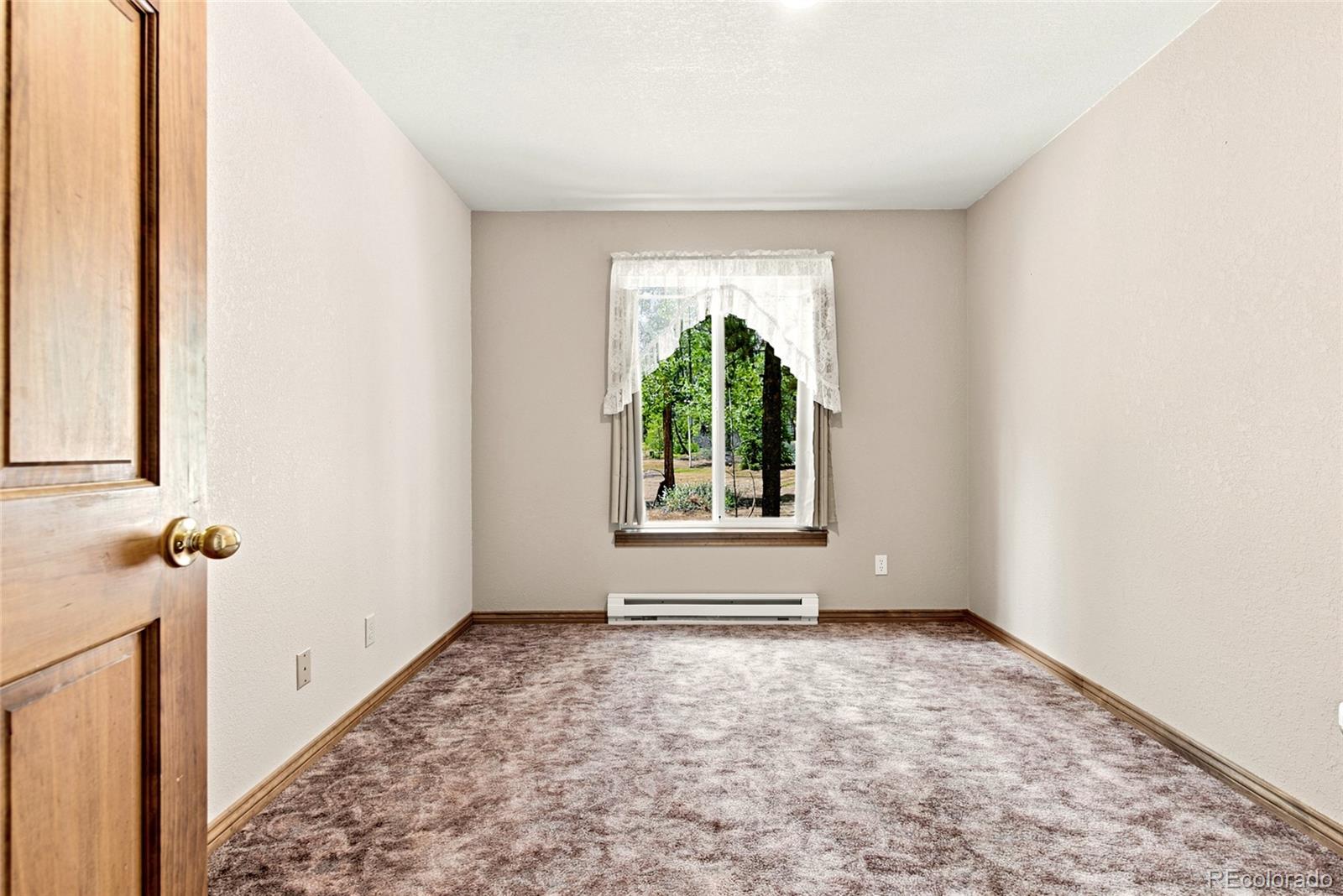 MLS Image #12 for 271  willow lane,alma, Colorado