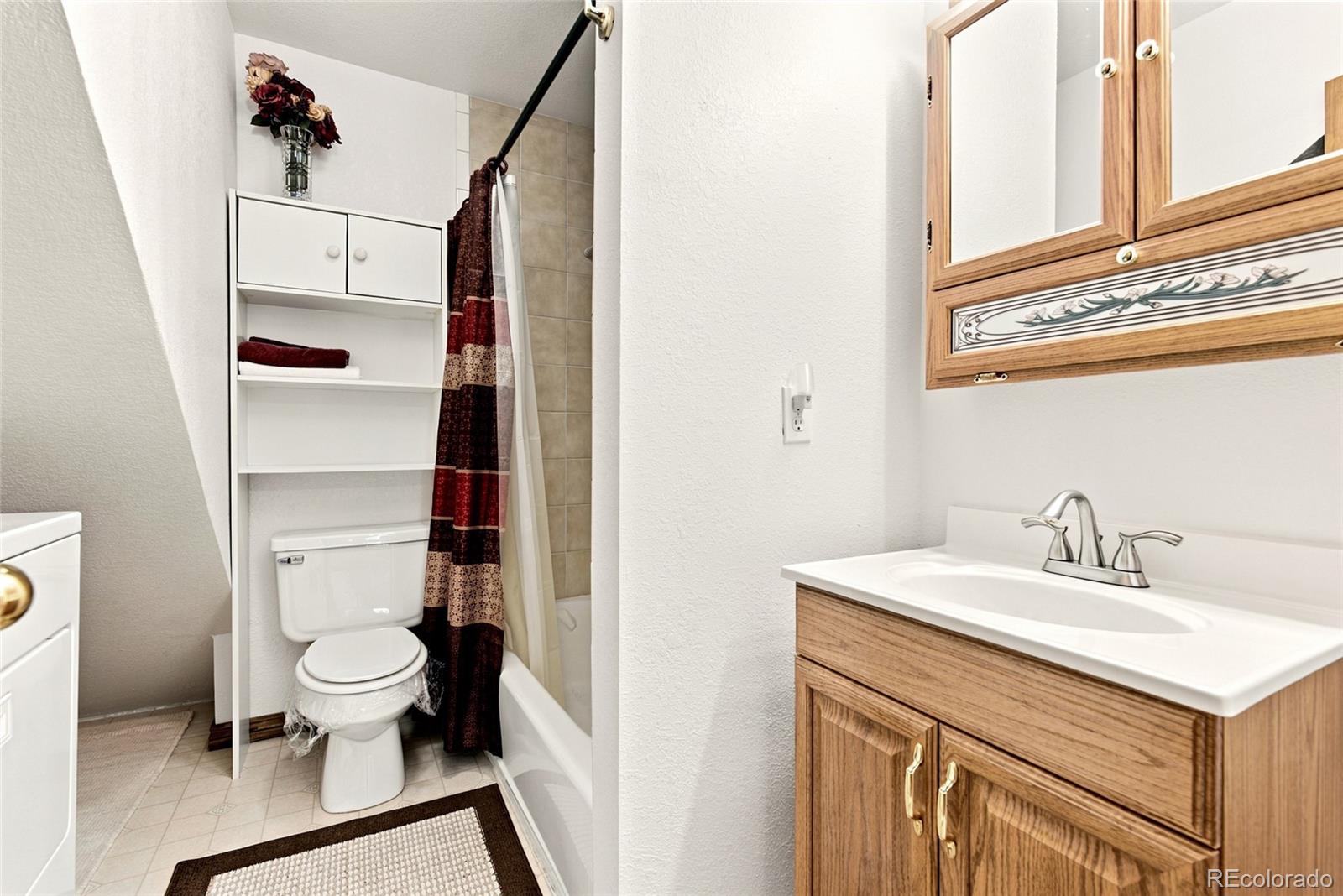 MLS Image #13 for 271  willow lane,alma, Colorado