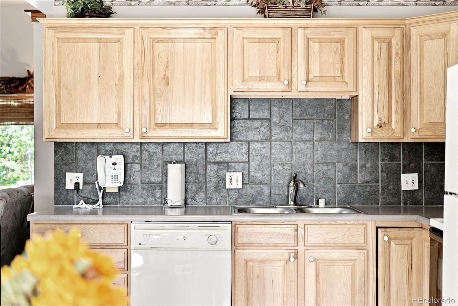 MLS Image #5 for 271  willow lane,alma, Colorado