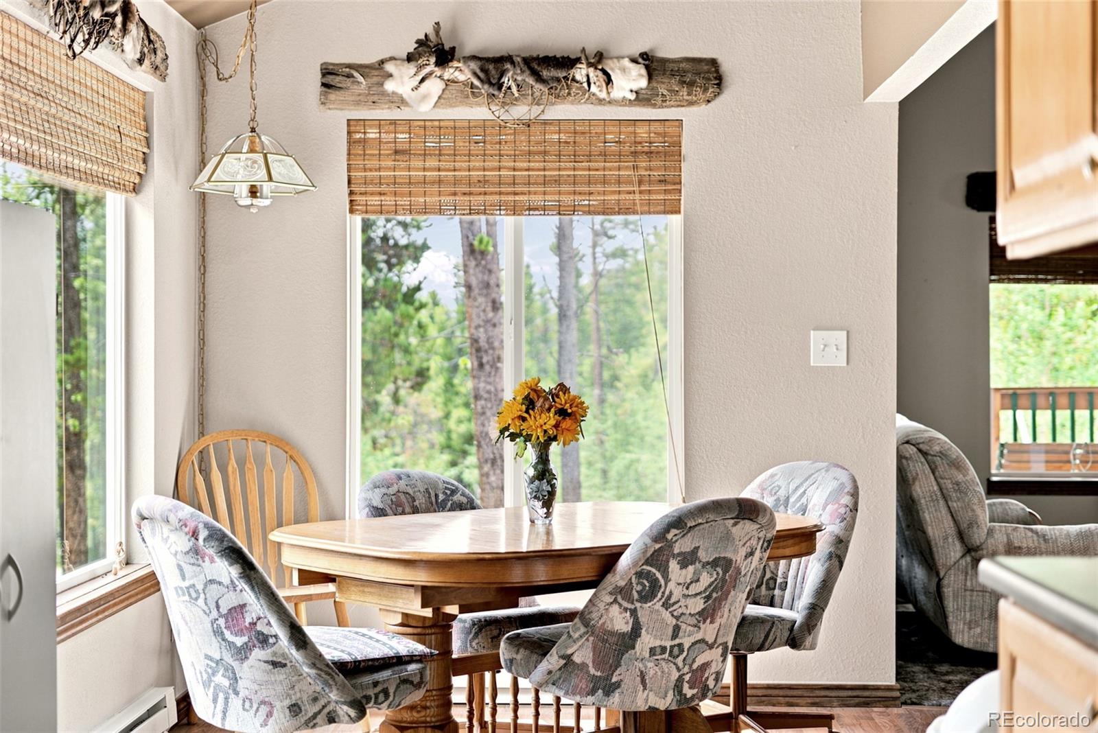MLS Image #7 for 271  willow lane,alma, Colorado