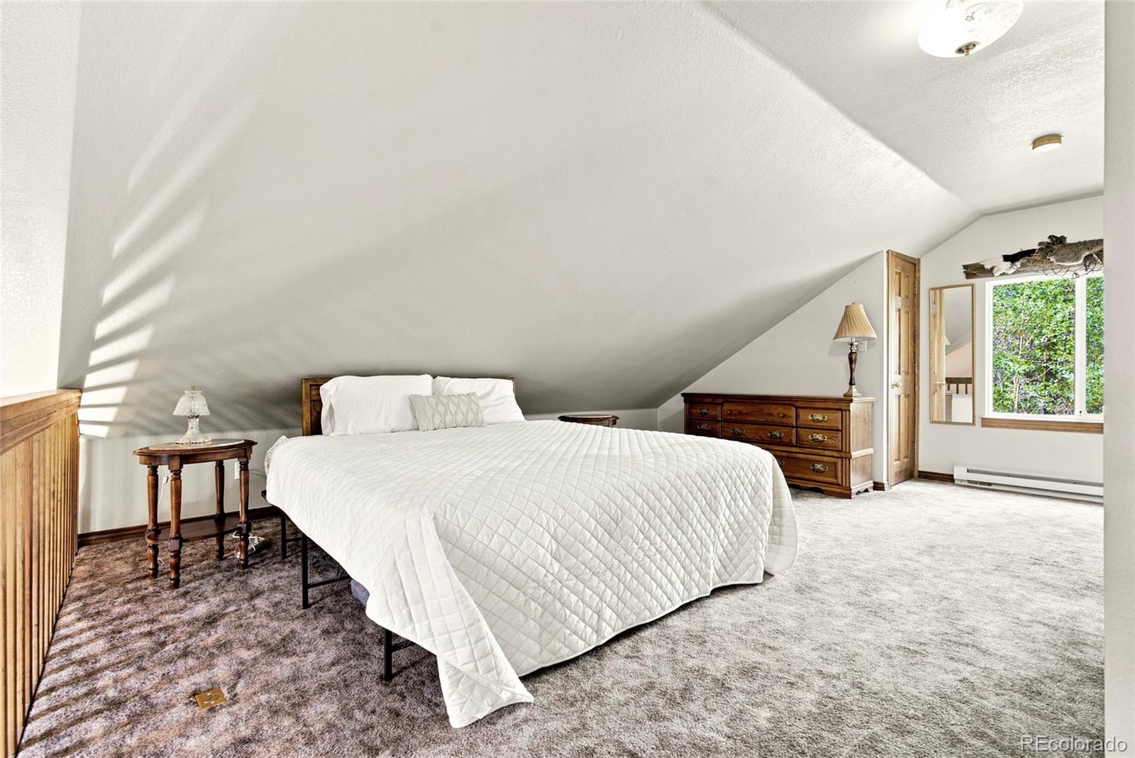 MLS Image #9 for 271  willow lane,alma, Colorado