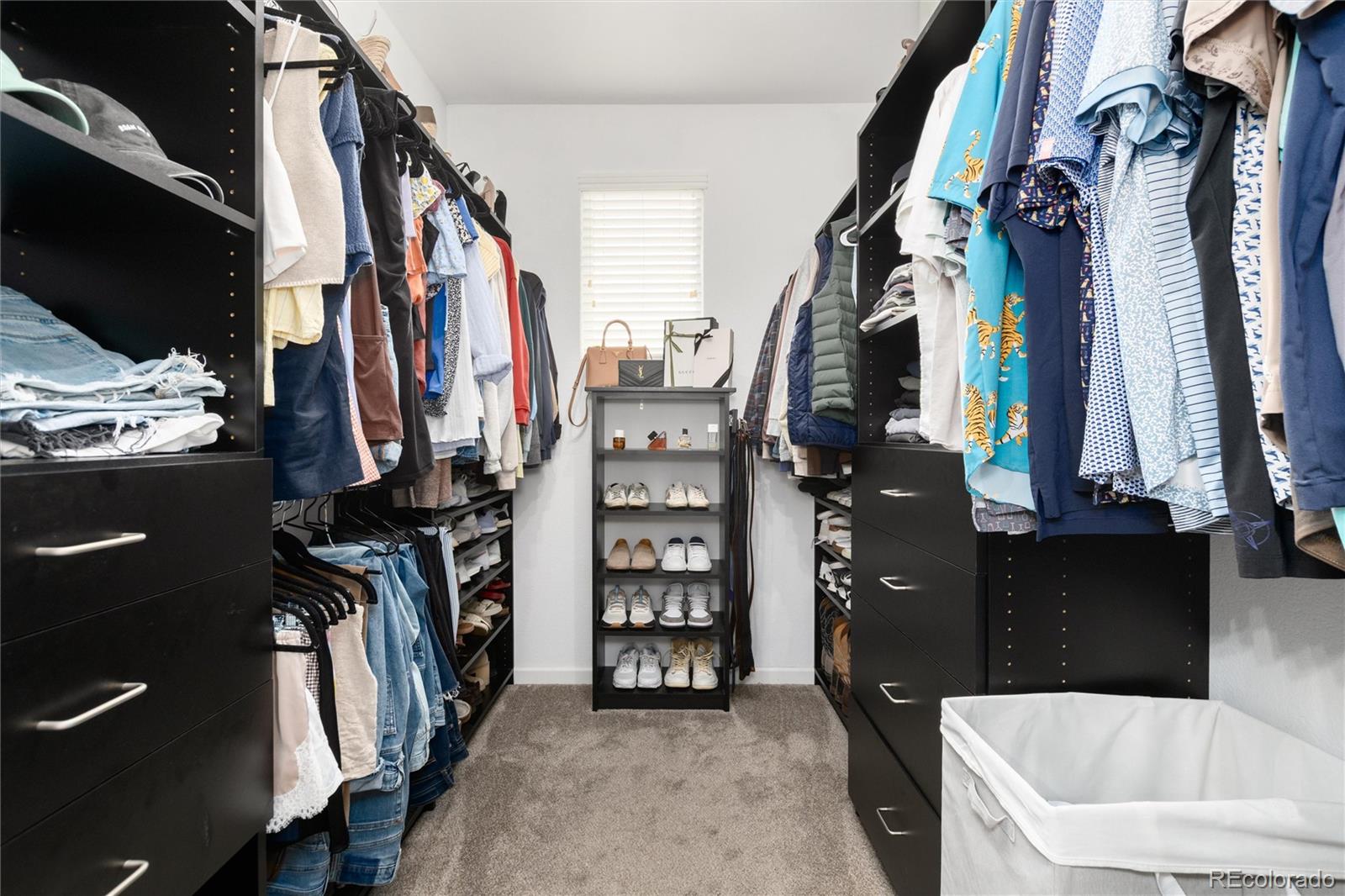 MLS Image #33 for 11886  chipper lane,parker, Colorado