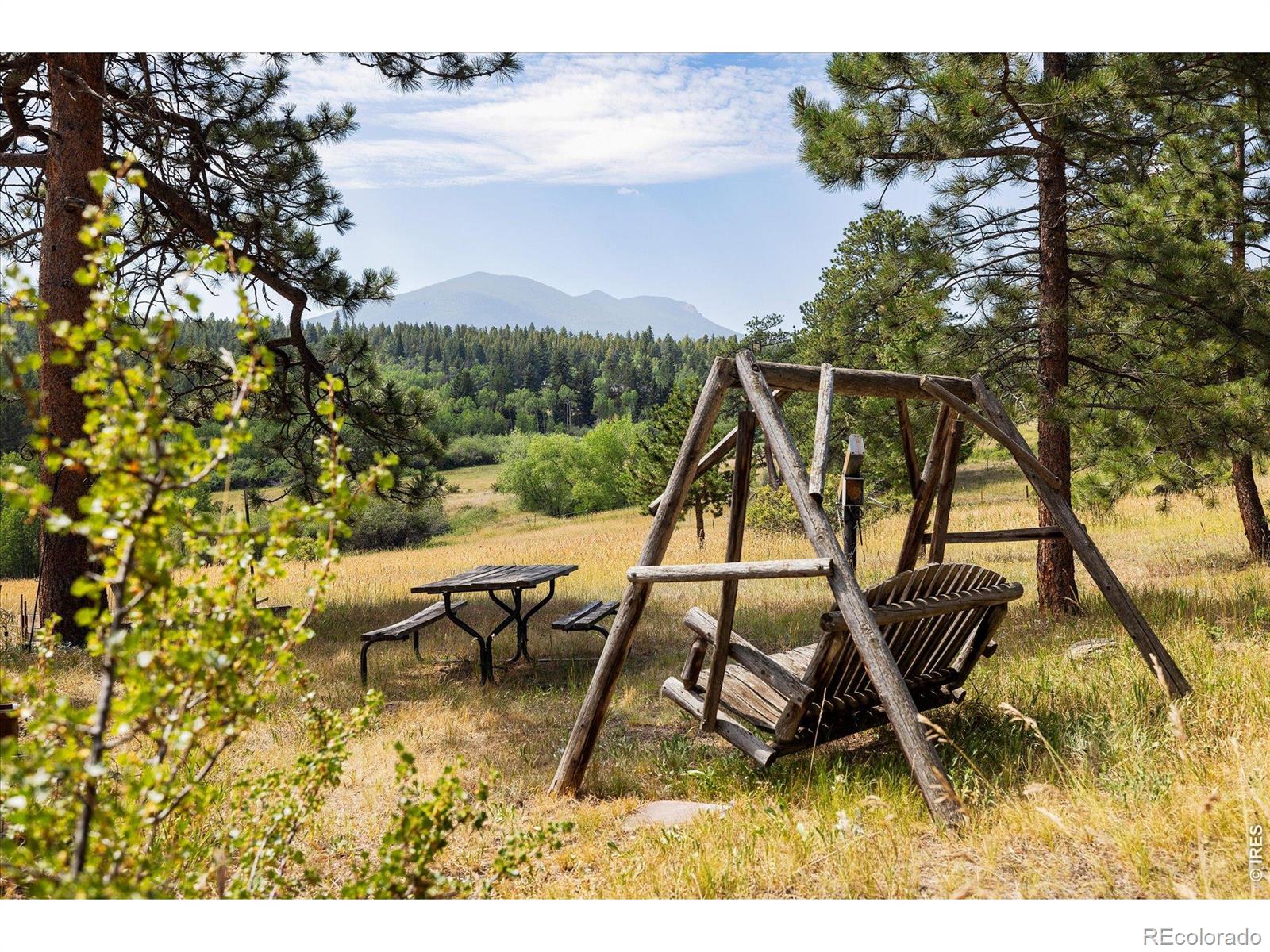 MLS Image #12 for 1650  lazy z road,nederland, Colorado