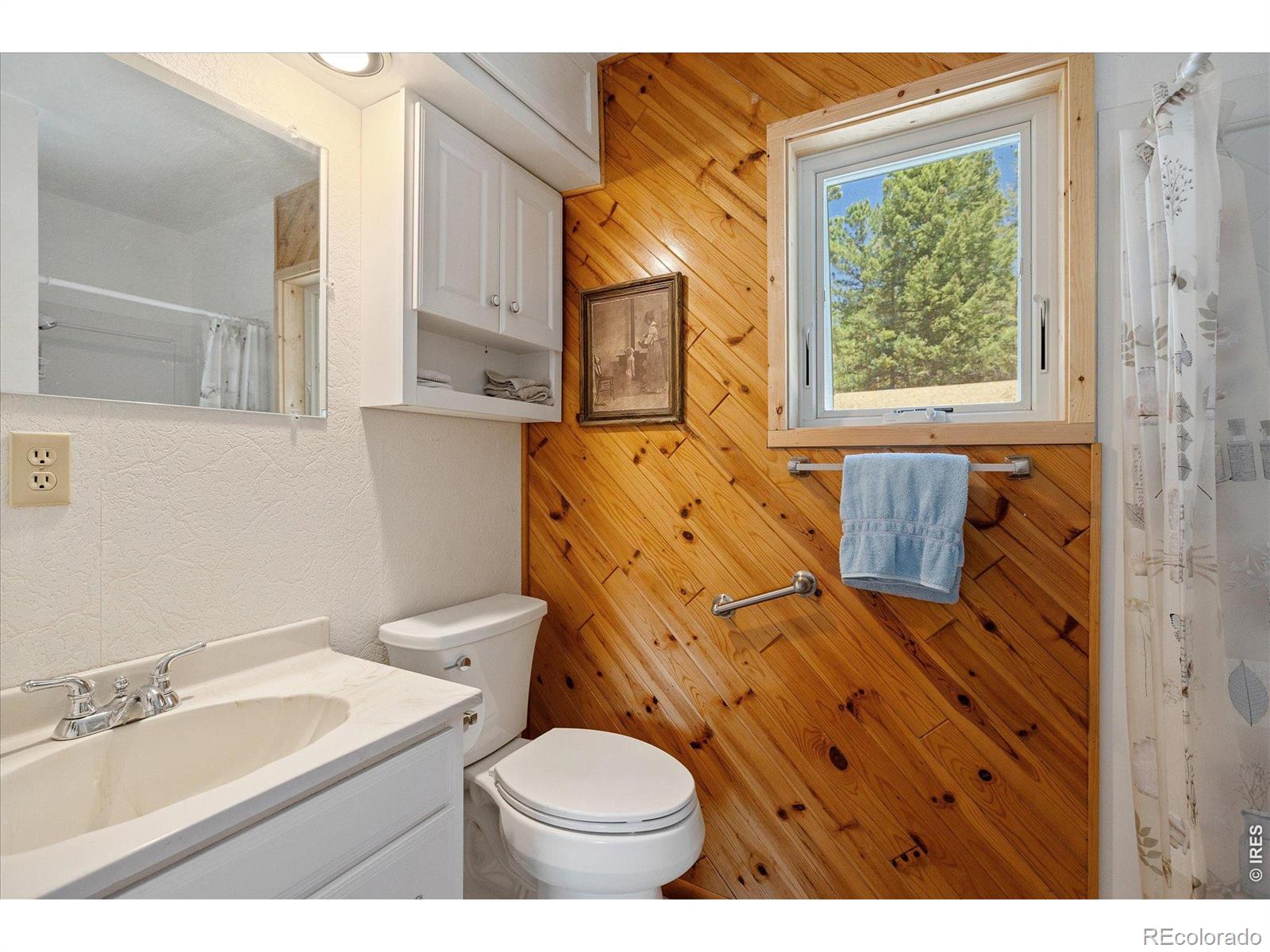 MLS Image #14 for 1650  lazy z road,nederland, Colorado