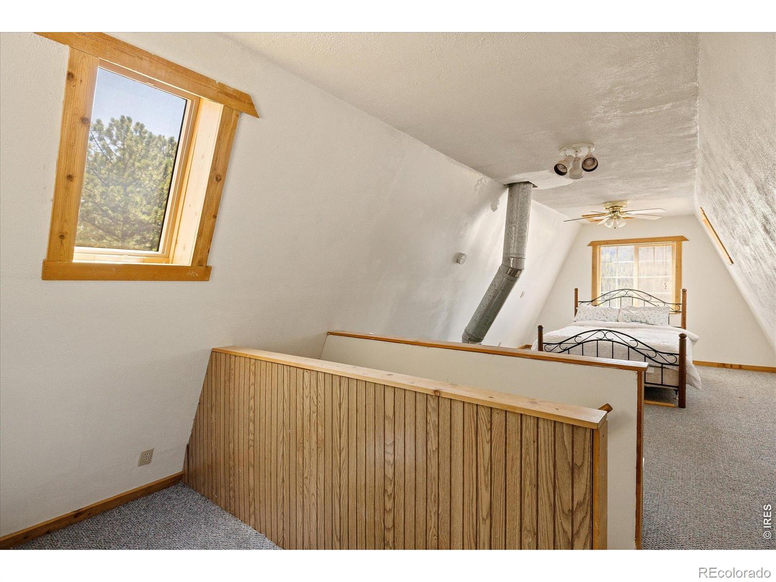 MLS Image #18 for 1650  lazy z road,nederland, Colorado