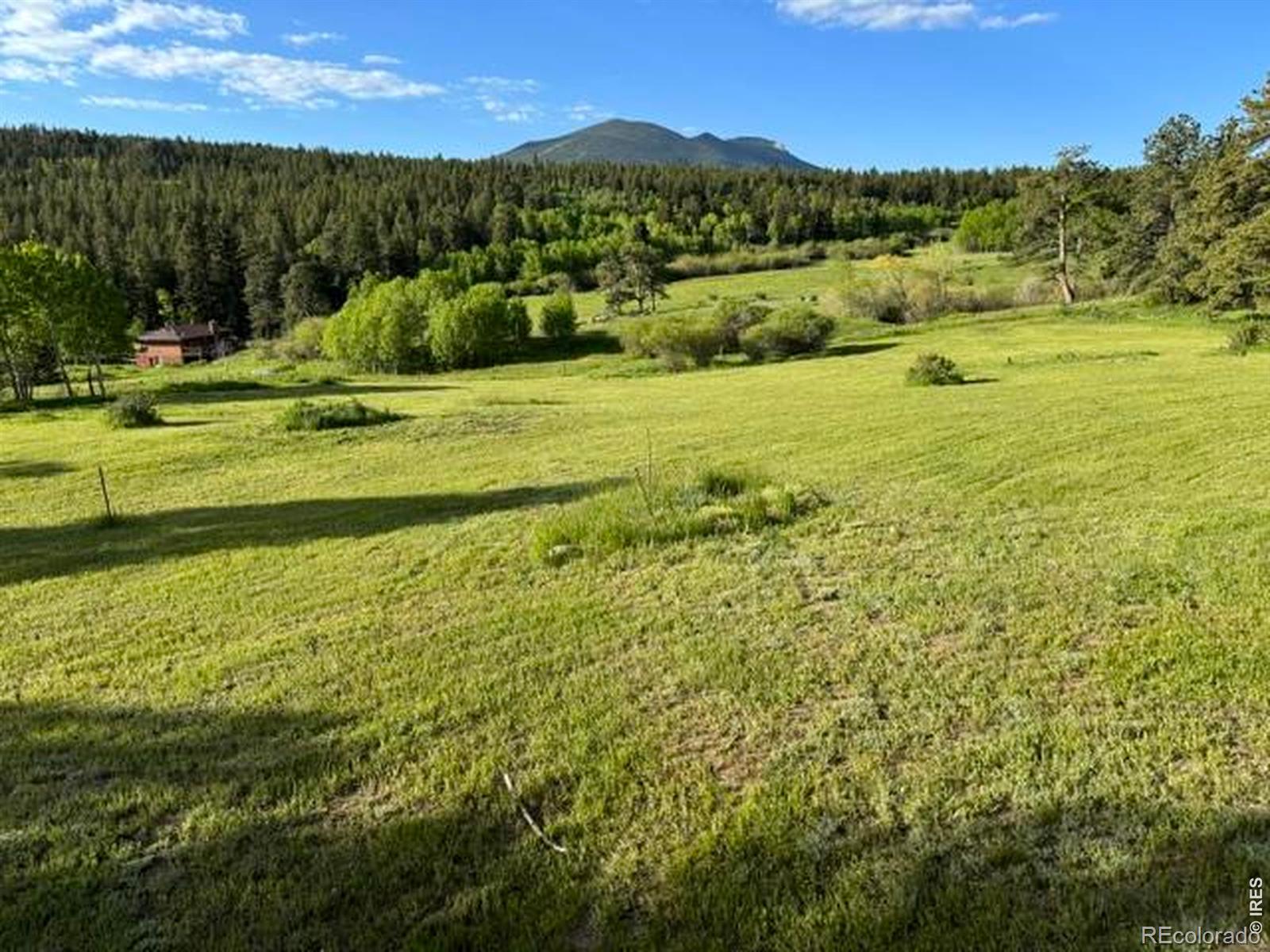 MLS Image #24 for 1650  lazy z road,nederland, Colorado