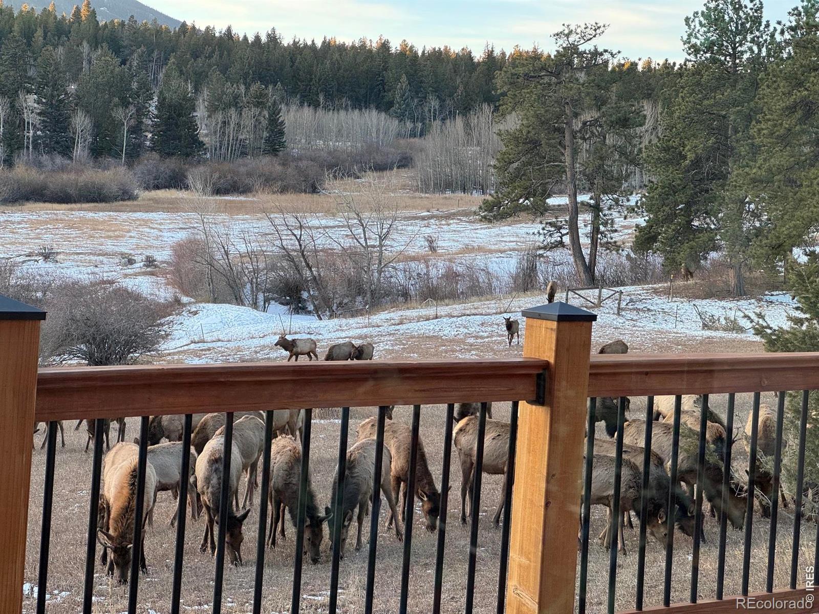 MLS Image #28 for 1650  lazy z road,nederland, Colorado