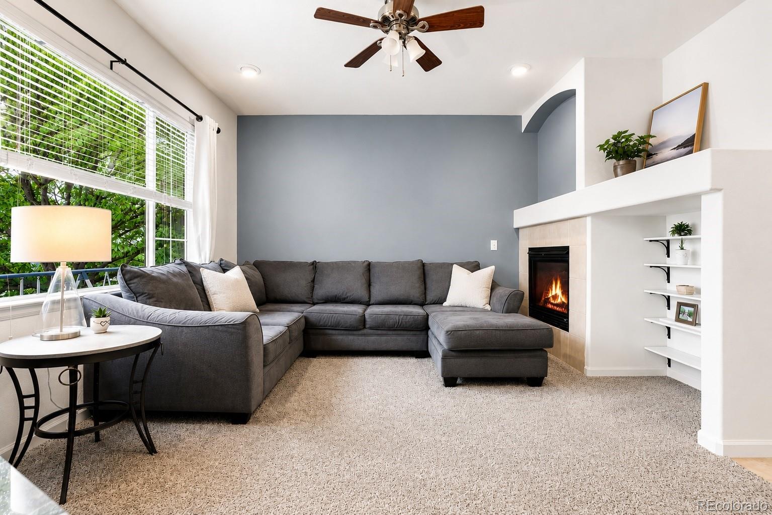 MLS Image #5 for 12  apache plume street,brighton, Colorado