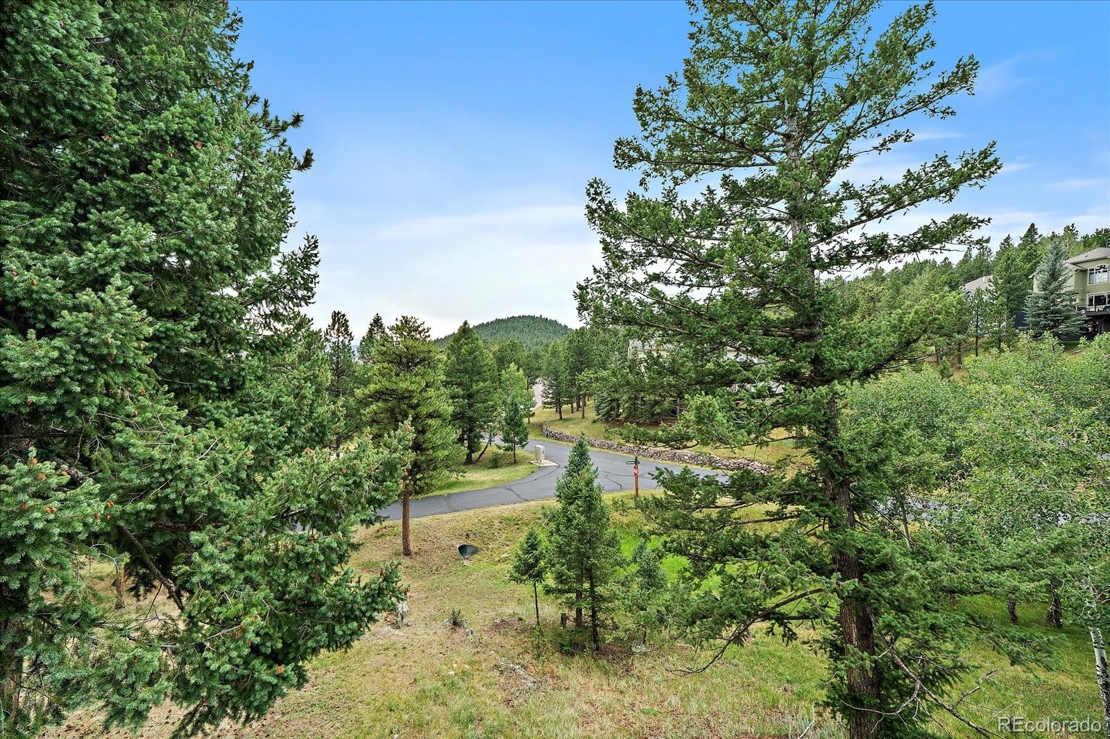 MLS Image #44 for 31180  cinnamonwood ,evergreen, Colorado