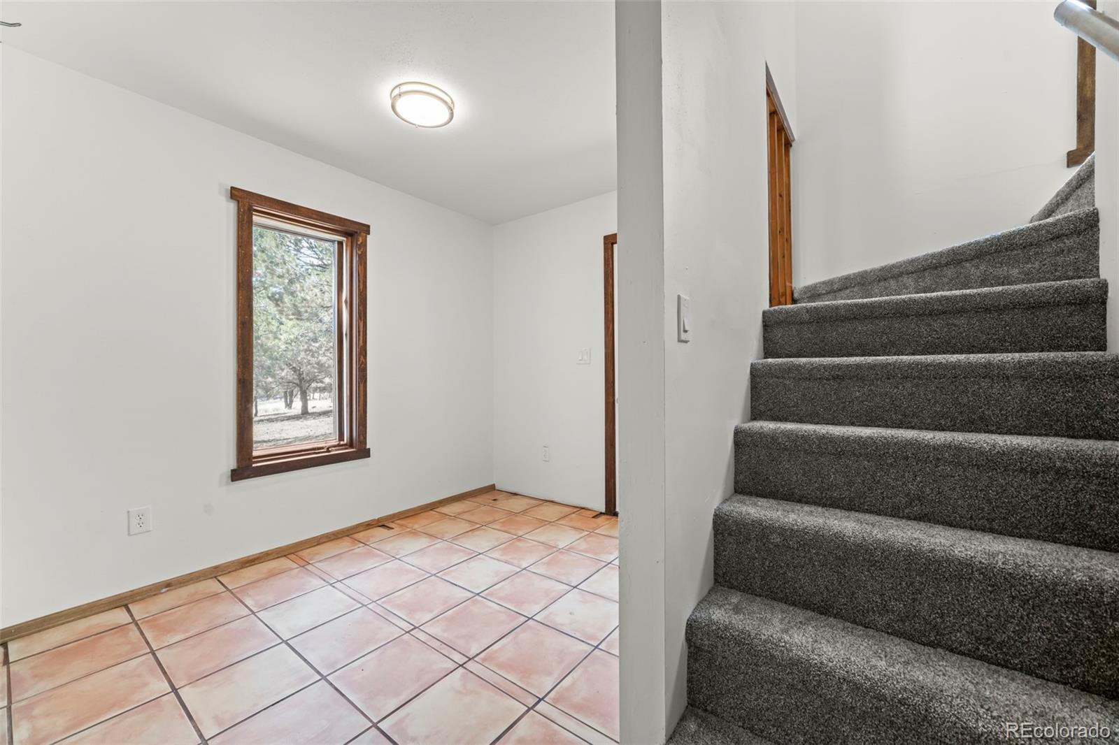 MLS Image #17 for 111  skyview way,crestone, Colorado