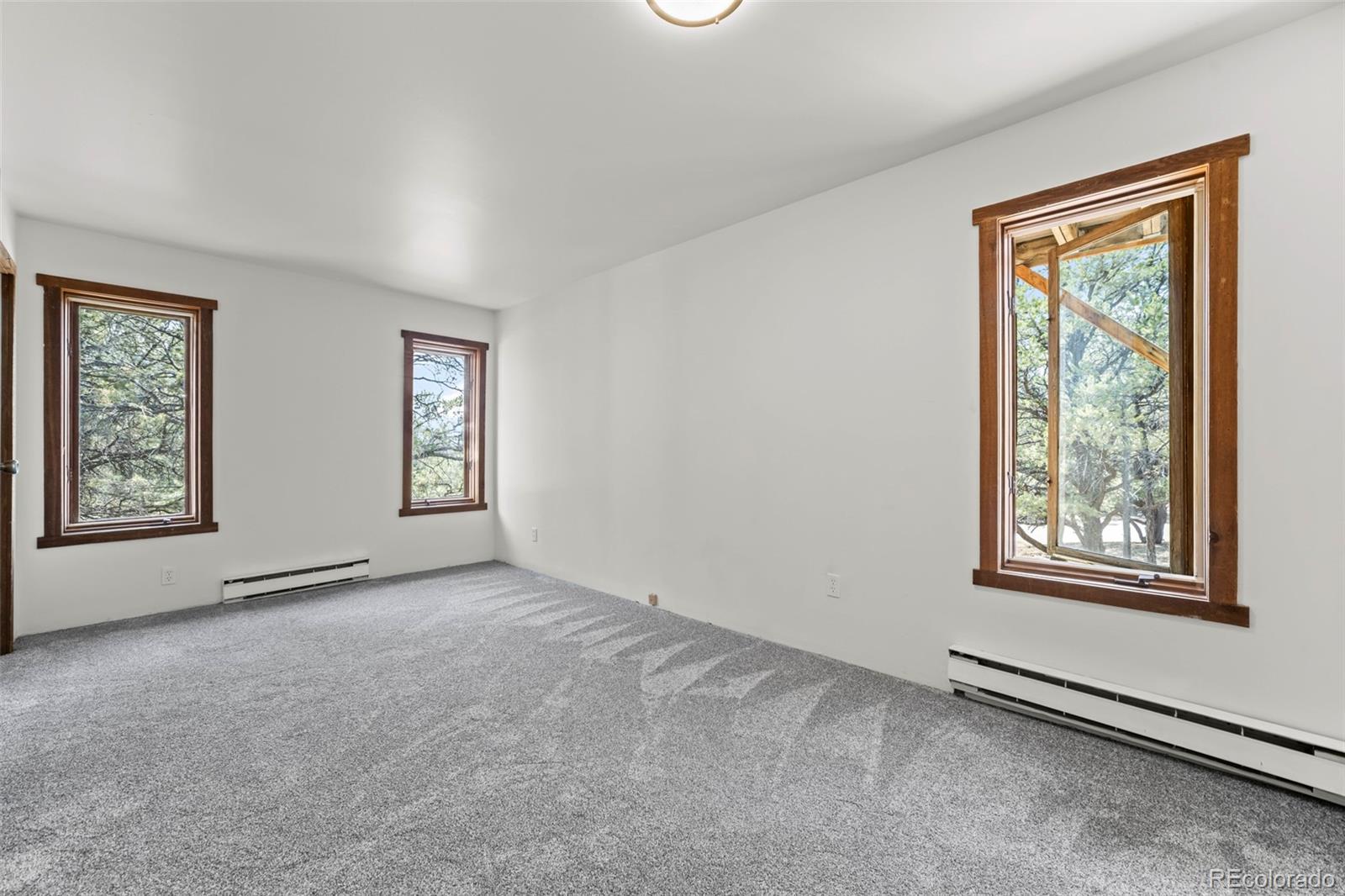 MLS Image #28 for 111  skyview way,crestone, Colorado
