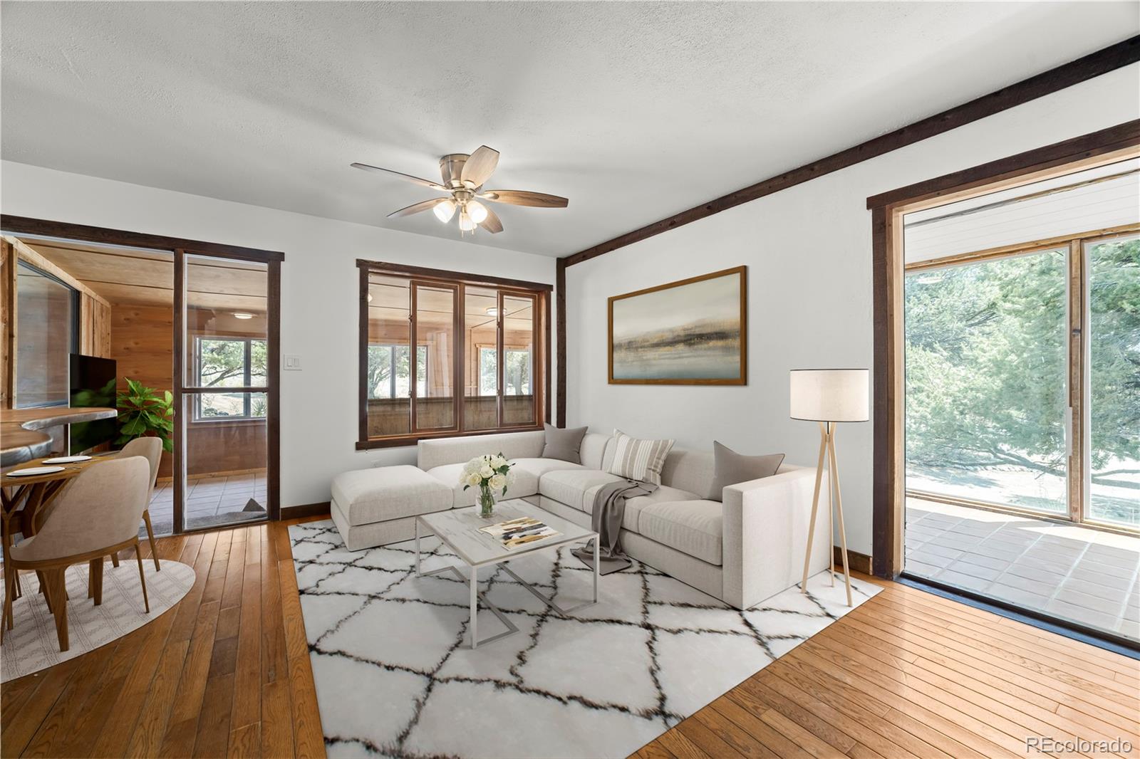 MLS Image #5 for 111  skyview way,crestone, Colorado