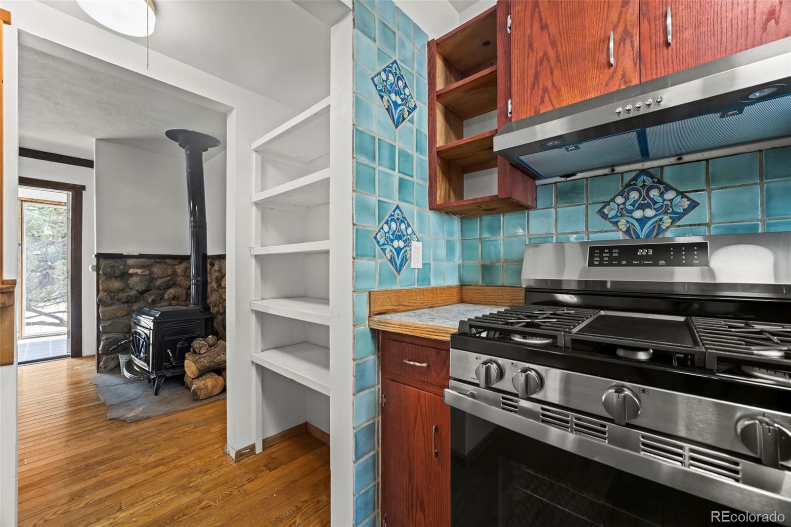 MLS Image #9 for 111  skyview way,crestone, Colorado