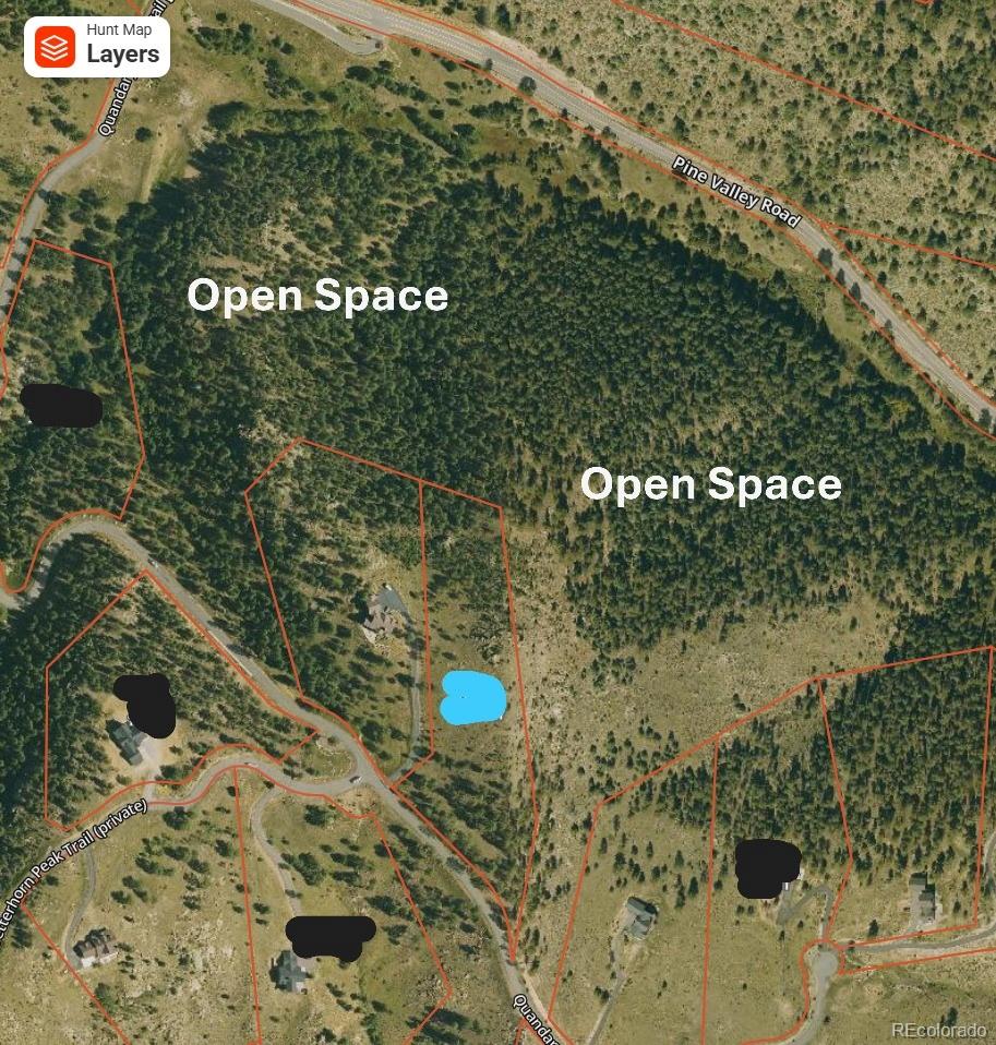 MLS Image #5 for 15100  quandary peak trail,pine, Colorado