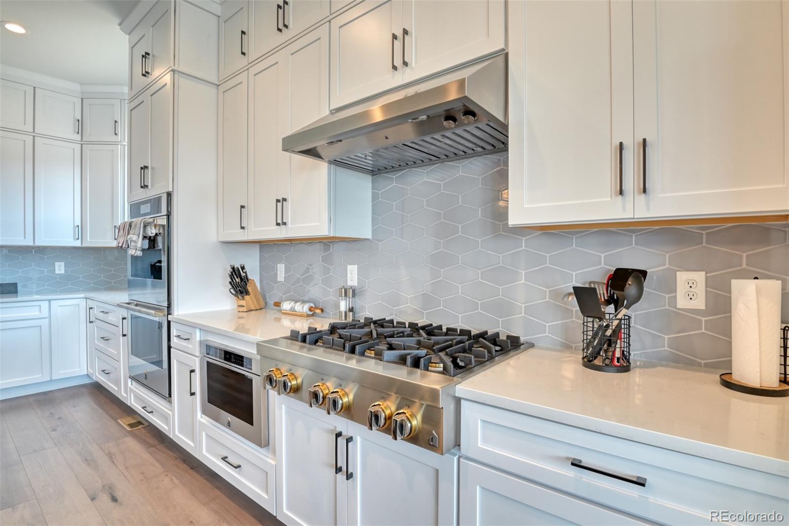 MLS Image #10 for 3734  doubletrack lane,castle rock, Colorado