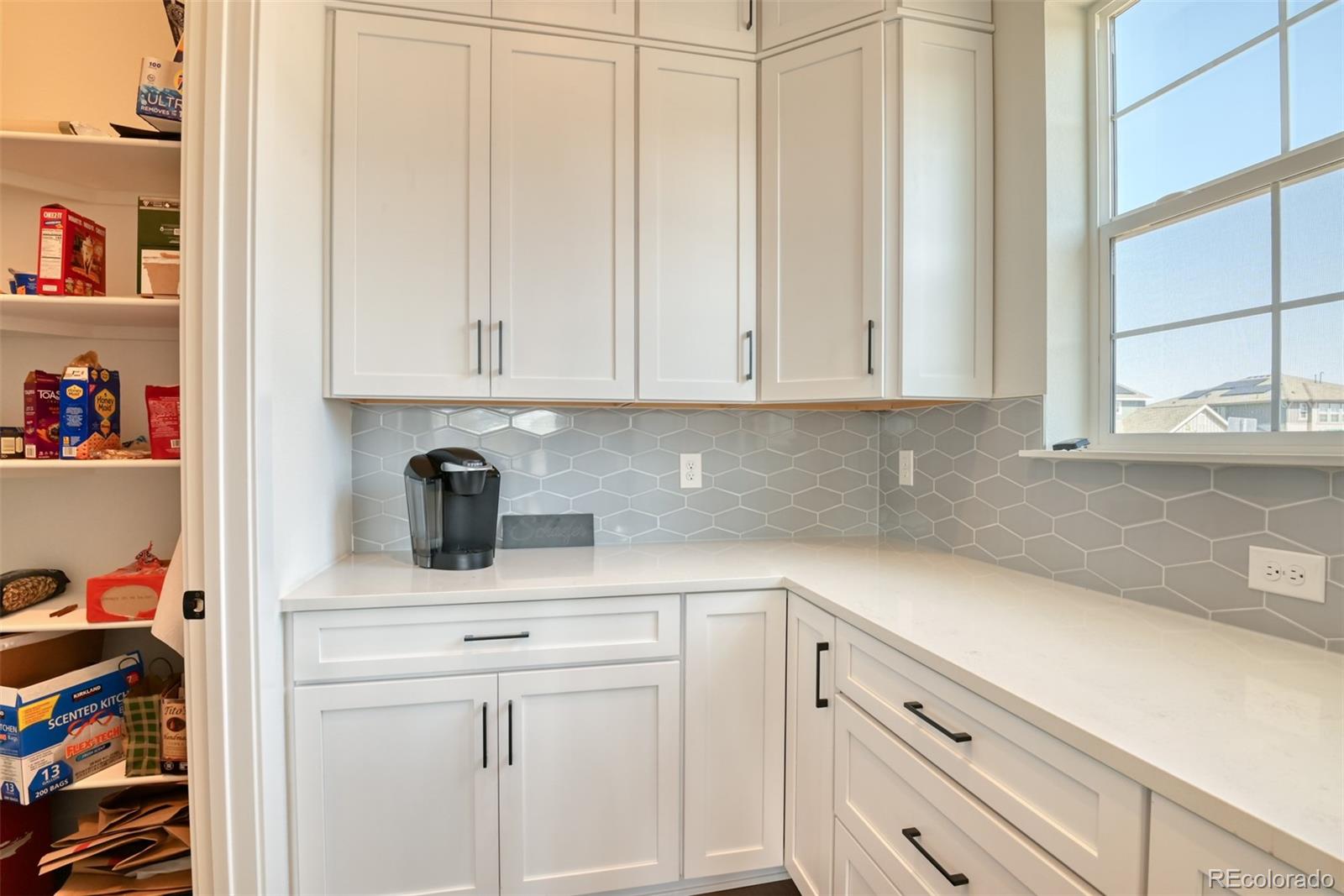 MLS Image #11 for 3734  doubletrack lane,castle rock, Colorado