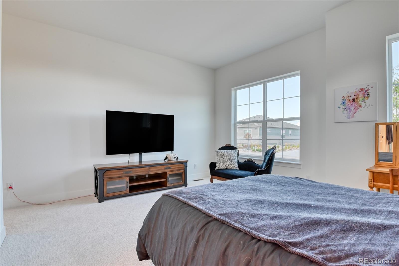MLS Image #26 for 3734  doubletrack lane,castle rock, Colorado