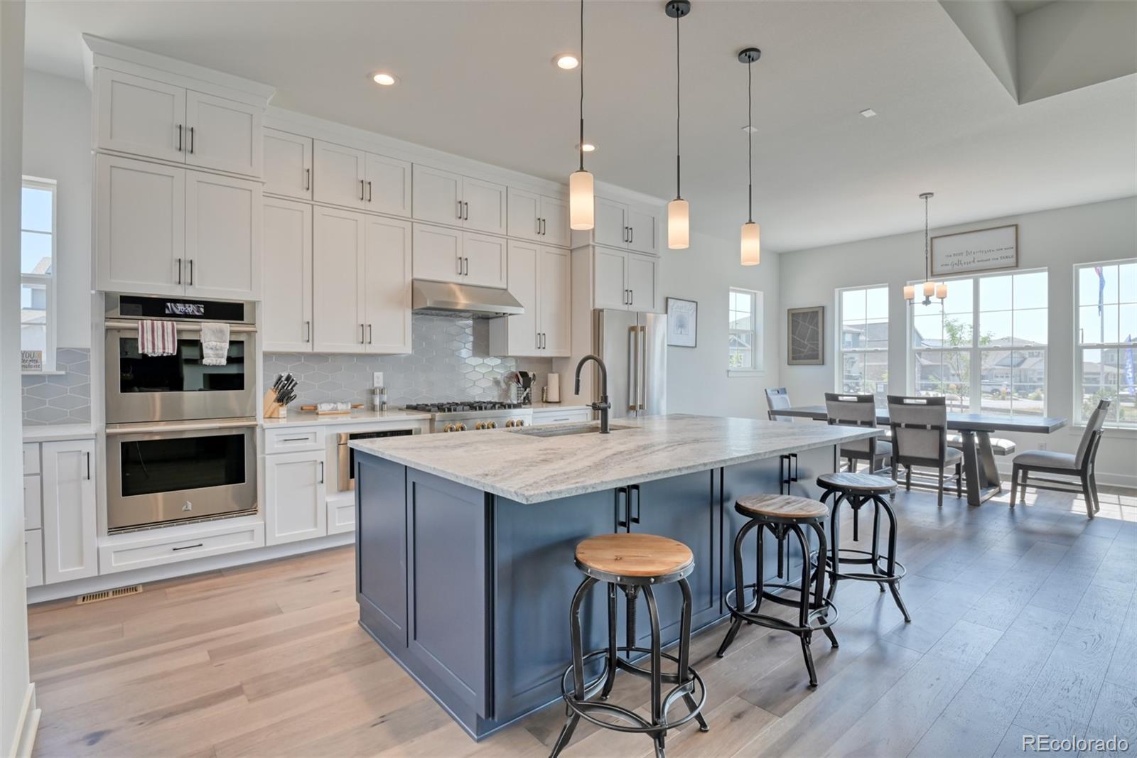 MLS Image #8 for 3734  doubletrack lane,castle rock, Colorado