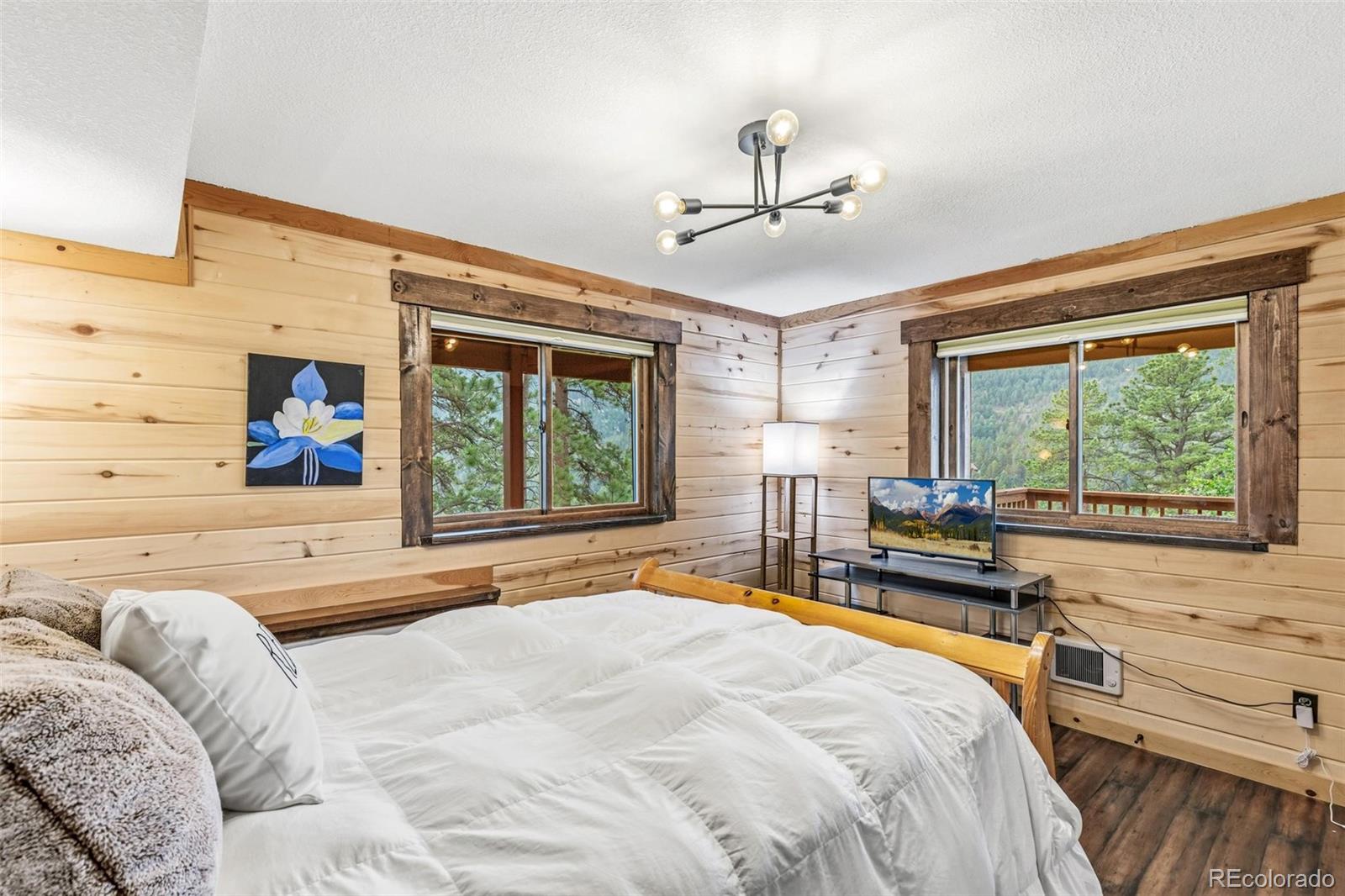 MLS Image #28 for 24333  bent feather road,conifer, Colorado
