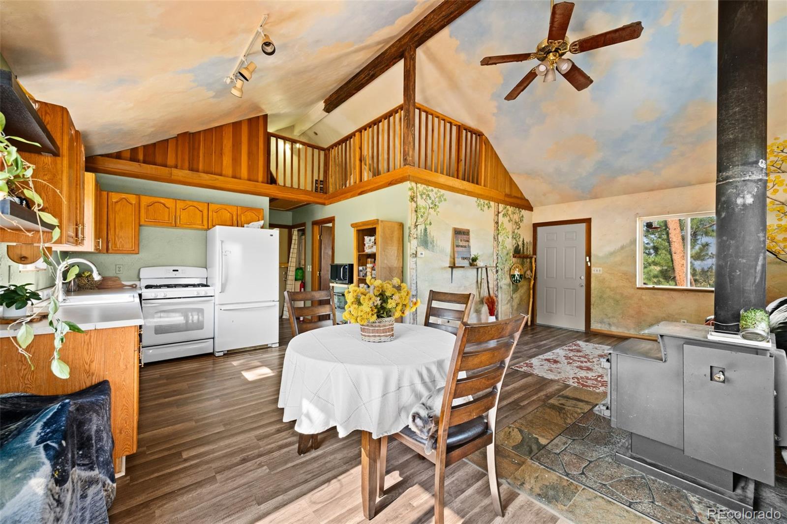 MLS Image #10 for 504  valley drive,divide, Colorado
