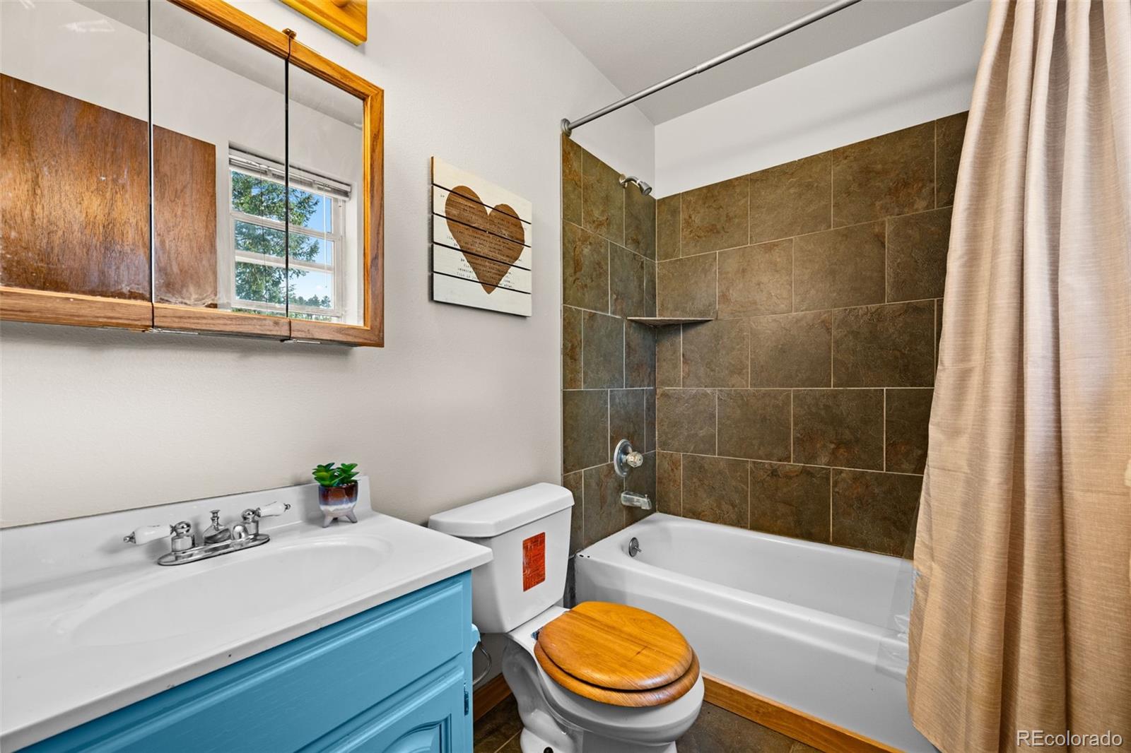 MLS Image #15 for 504  valley drive,divide, Colorado