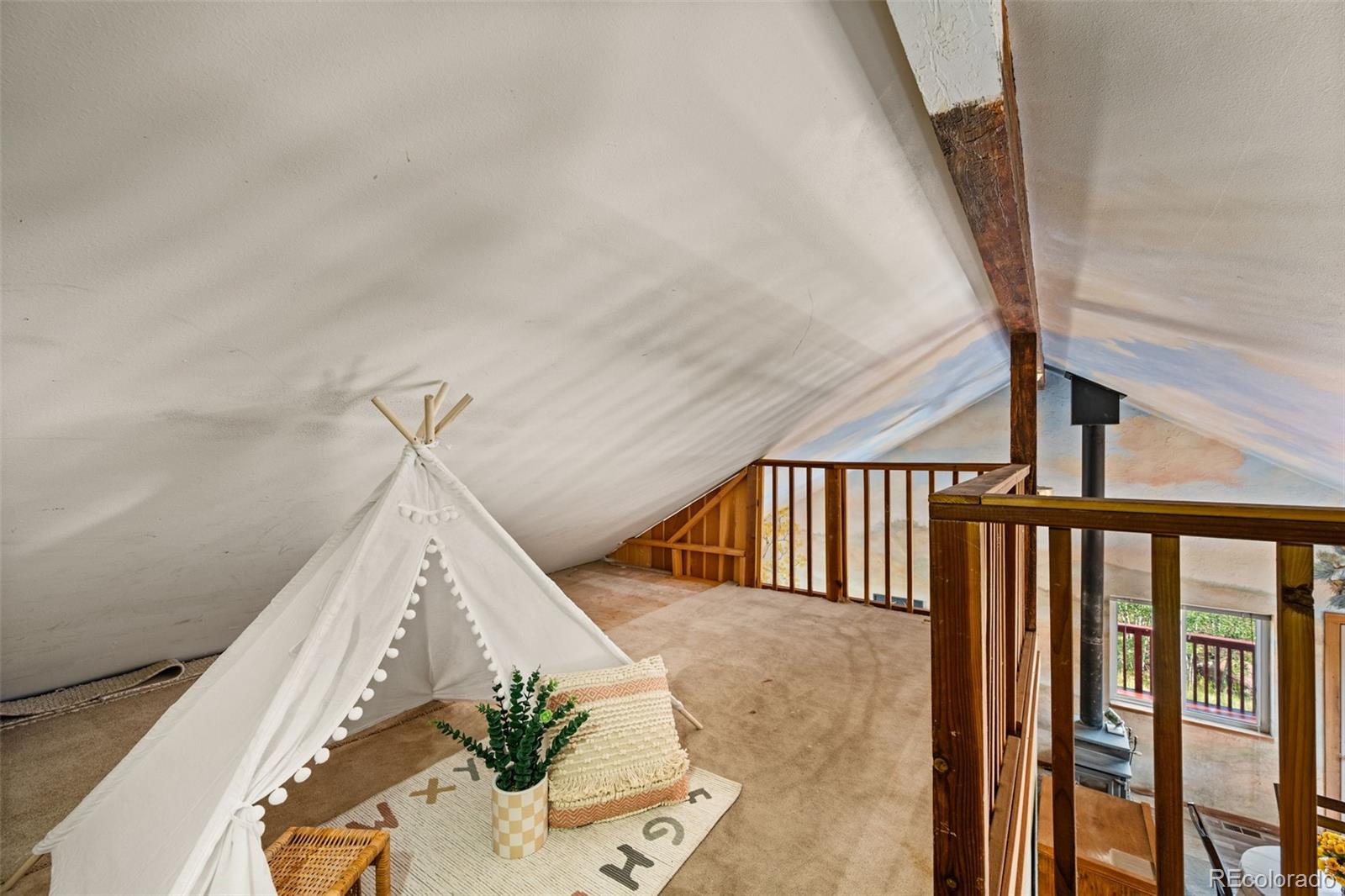 MLS Image #16 for 504  valley drive,divide, Colorado