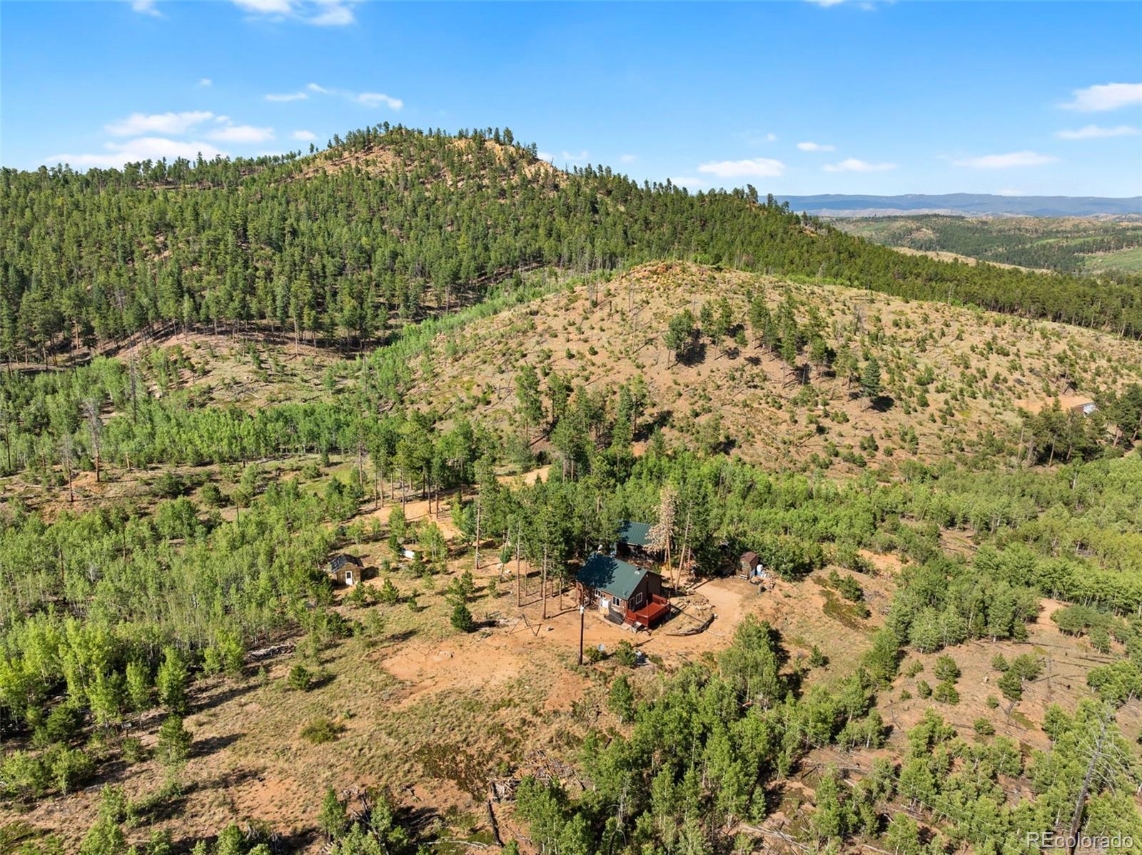 MLS Image #22 for 504  valley drive,divide, Colorado