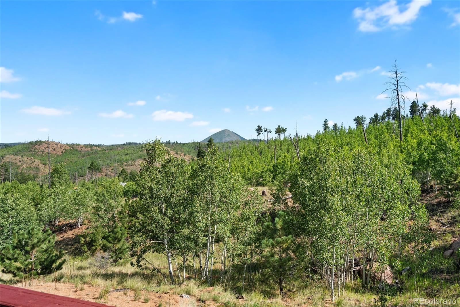 MLS Image #26 for 504  valley drive,divide, Colorado