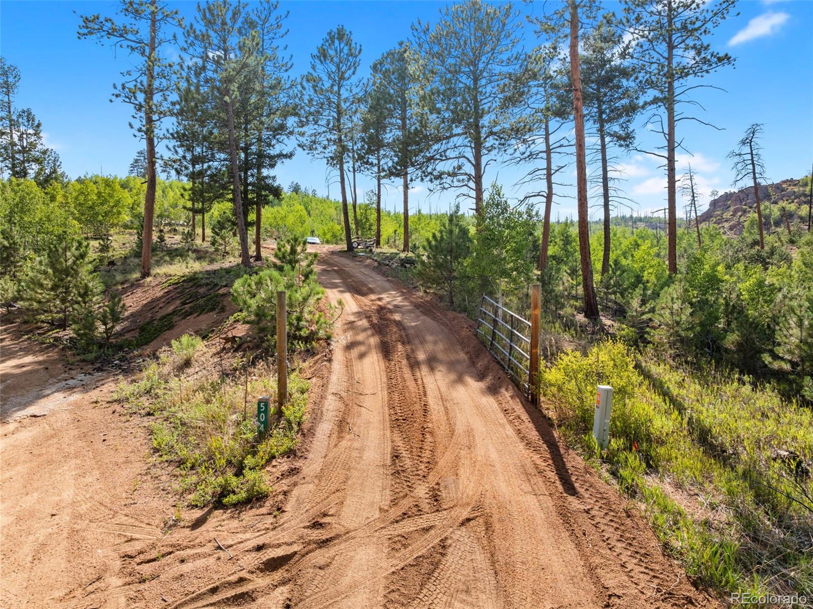 MLS Image #27 for 504  valley drive,divide, Colorado