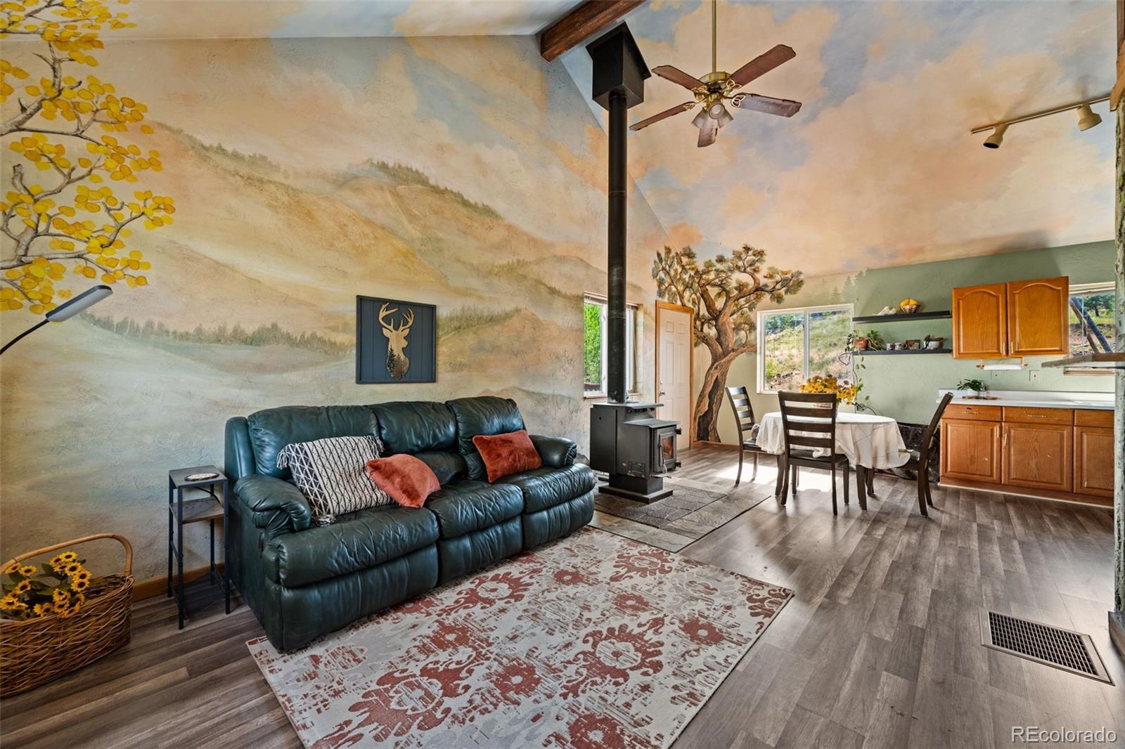 MLS Image #5 for 504  valley drive,divide, Colorado