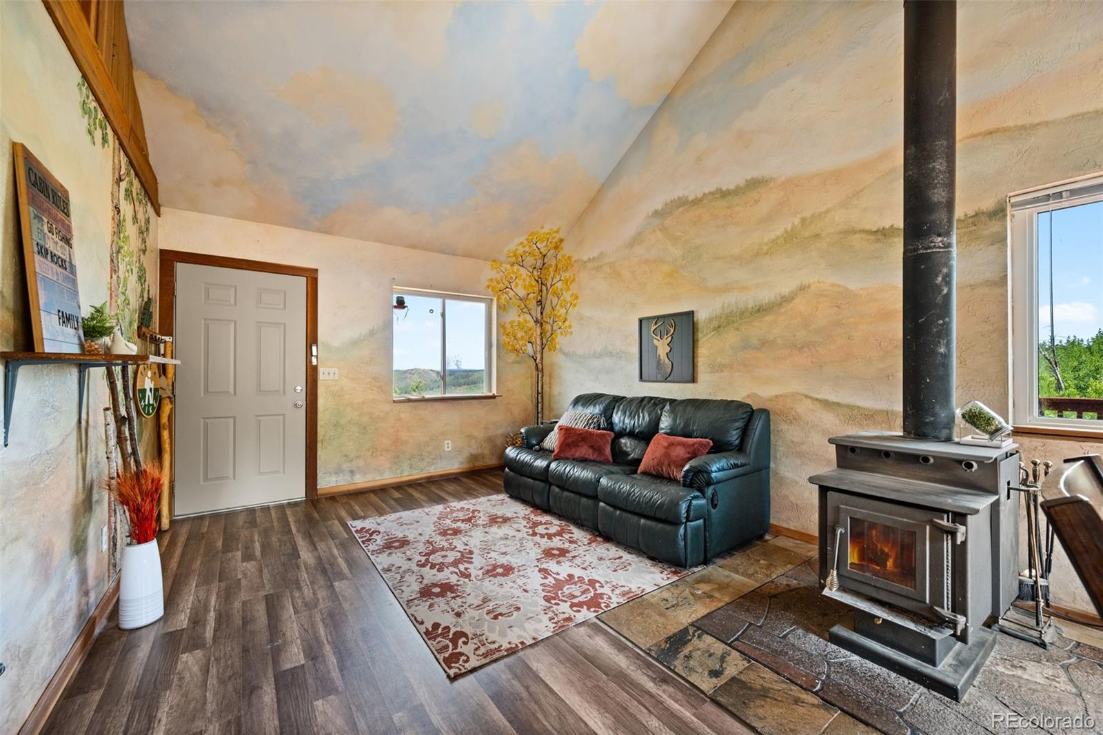 MLS Image #6 for 504  valley drive,divide, Colorado