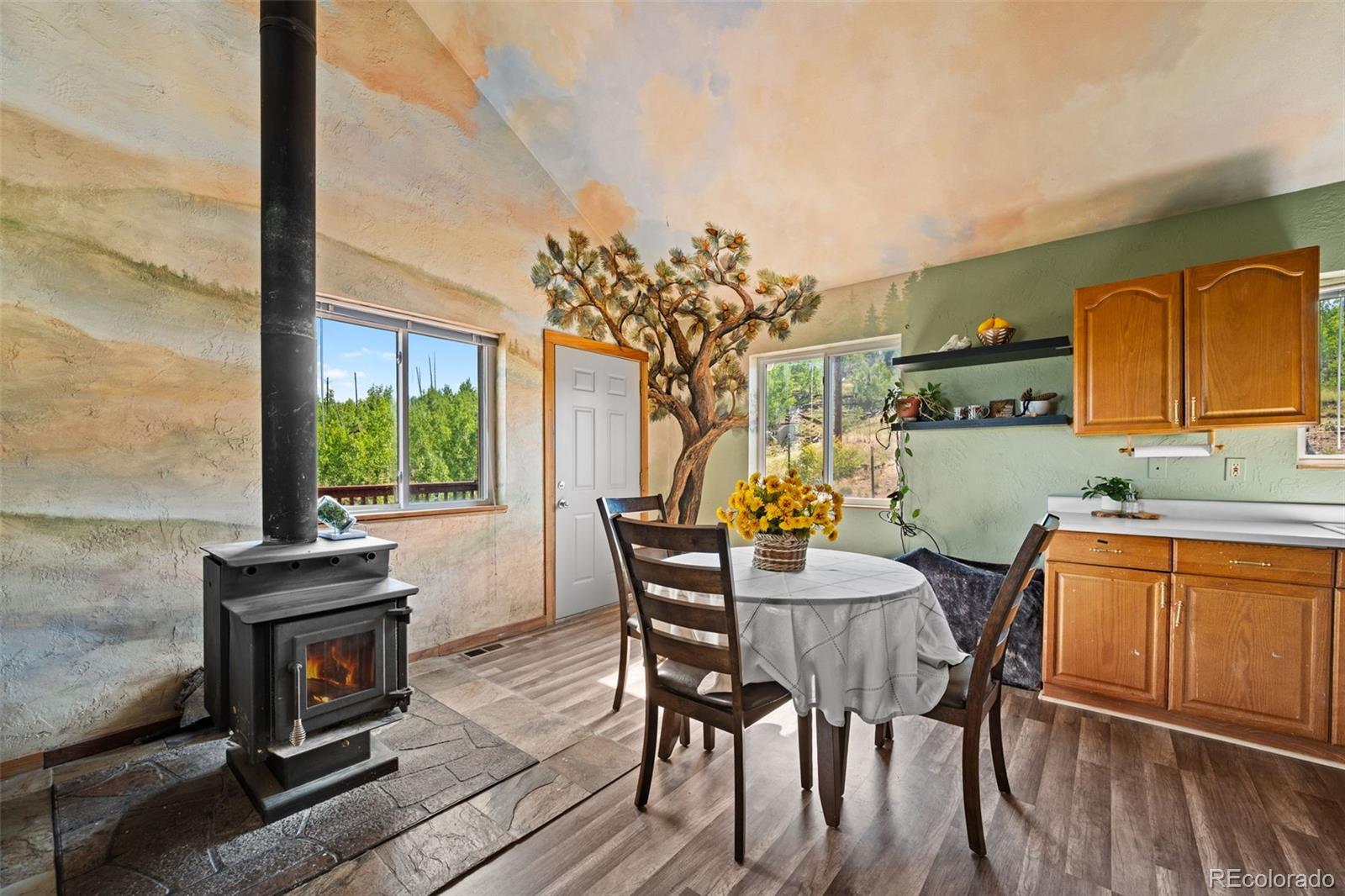 MLS Image #9 for 504  valley drive,divide, Colorado