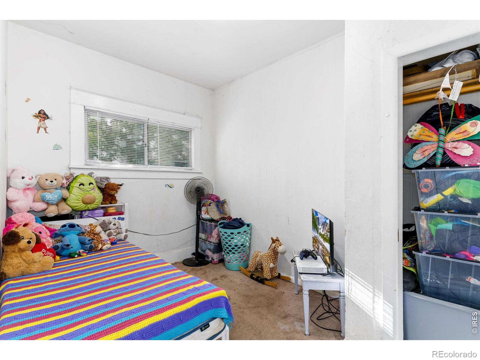 MLS Image #15 for 539  chestnut street,sterling, Colorado