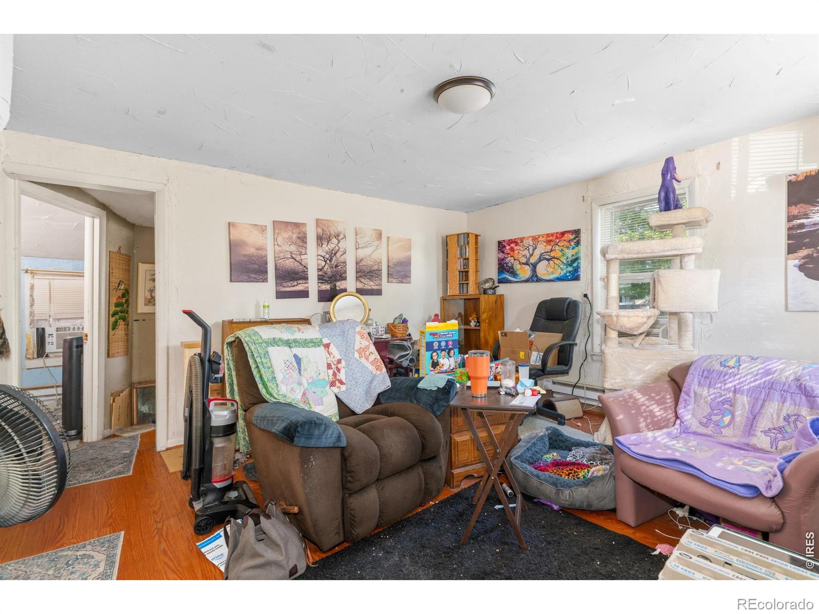 MLS Image #5 for 805  cleveland street,sterling, Colorado