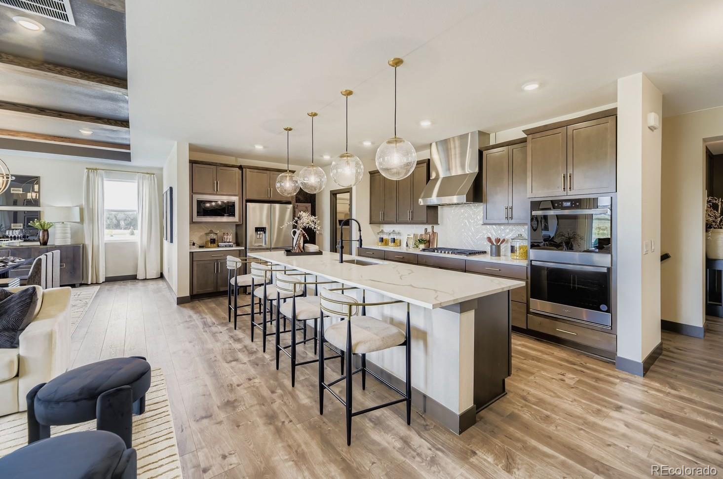 MLS Image #5 for 15571  brandy gulch lane,parker, Colorado