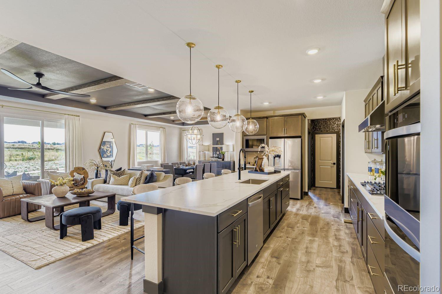 MLS Image #6 for 15571  brandy gulch lane,parker, Colorado