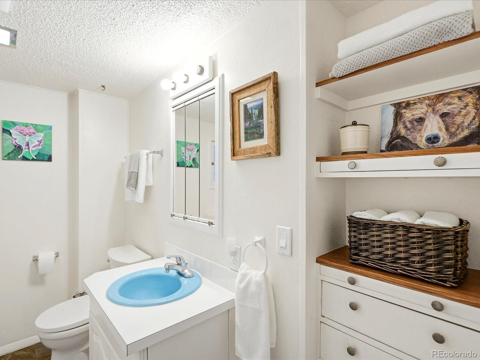 MLS Image #28 for 26407 s end road,kittredge, Colorado