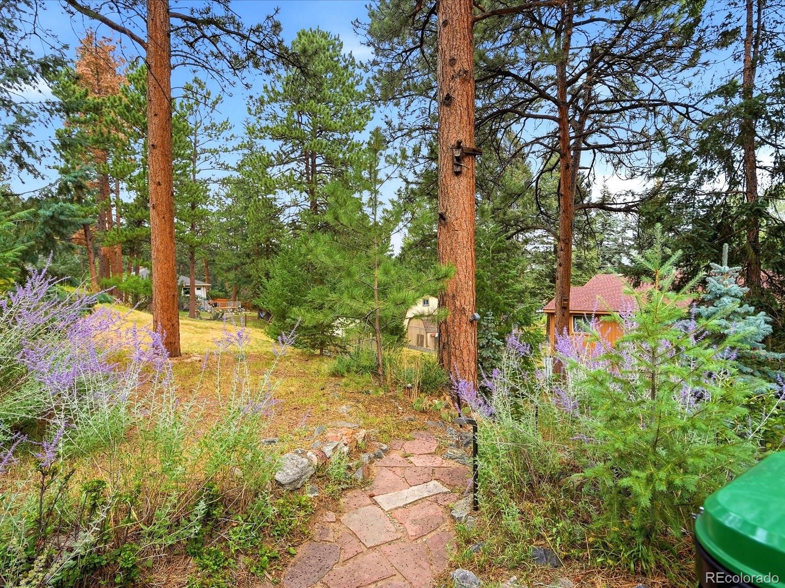 MLS Image #42 for 26407 s end road,kittredge, Colorado