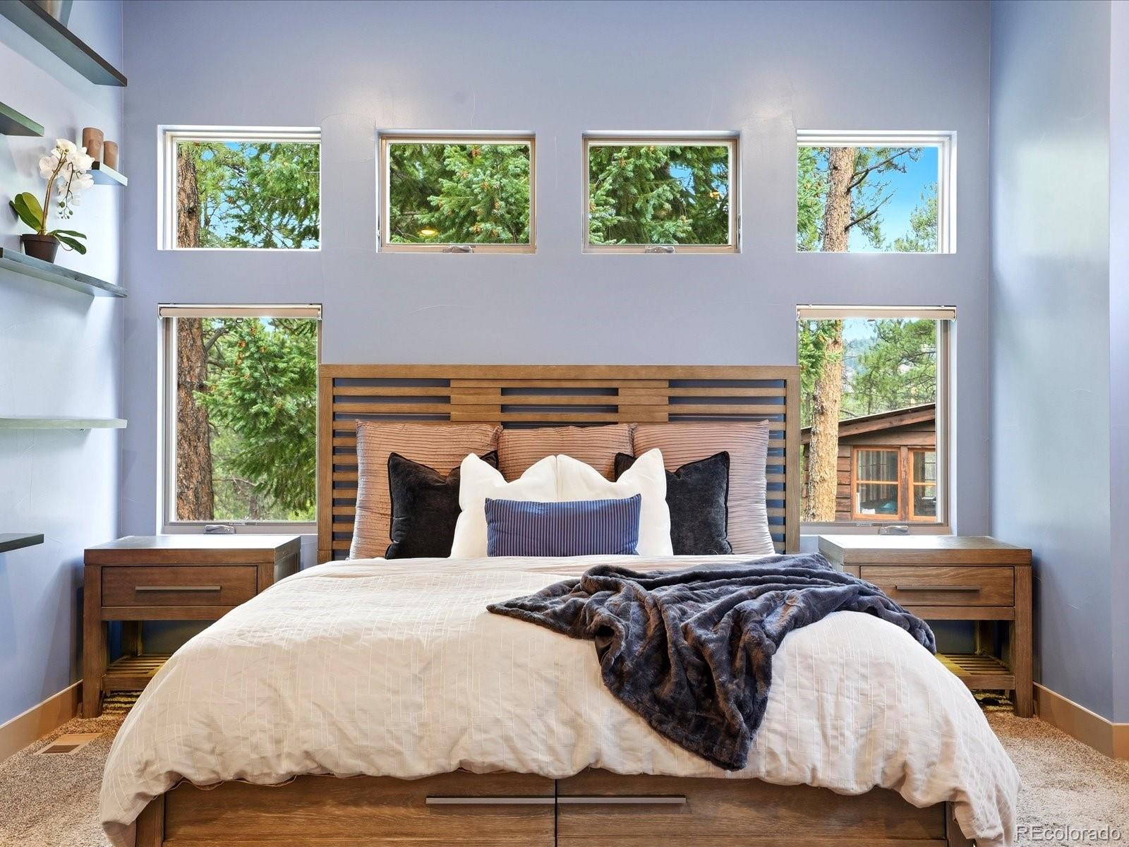 MLS Image #11 for 5809 s skyline drive,evergreen, Colorado