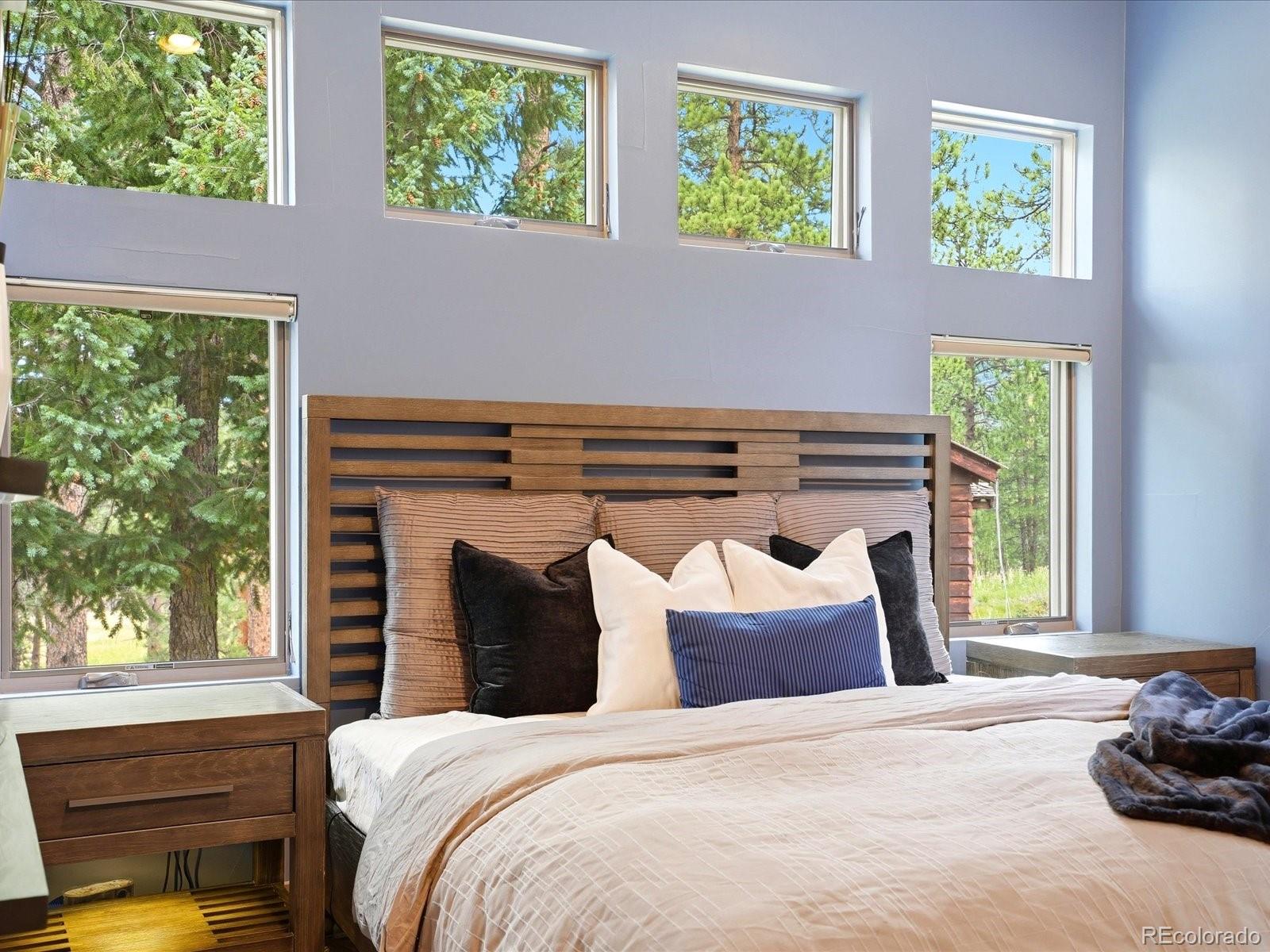 MLS Image #17 for 5809 s skyline drive,evergreen, Colorado