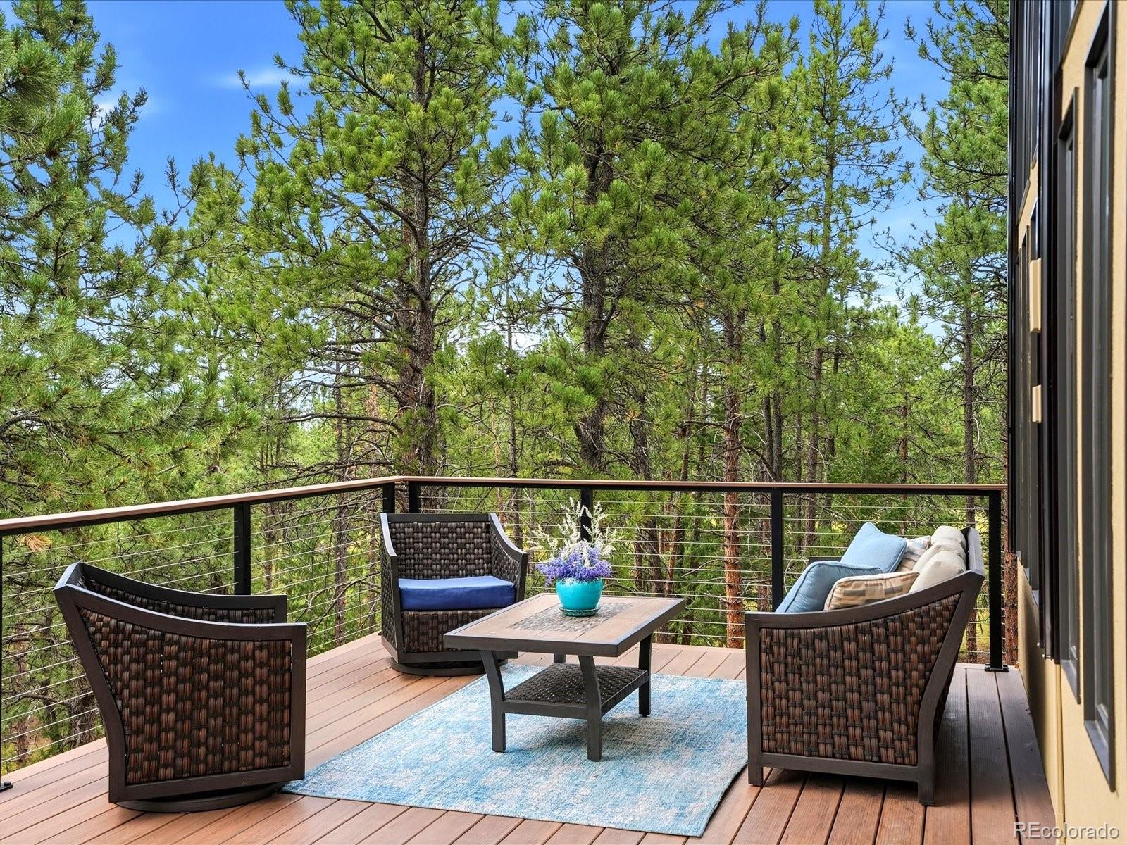 MLS Image #40 for 5809 s skyline drive,evergreen, Colorado